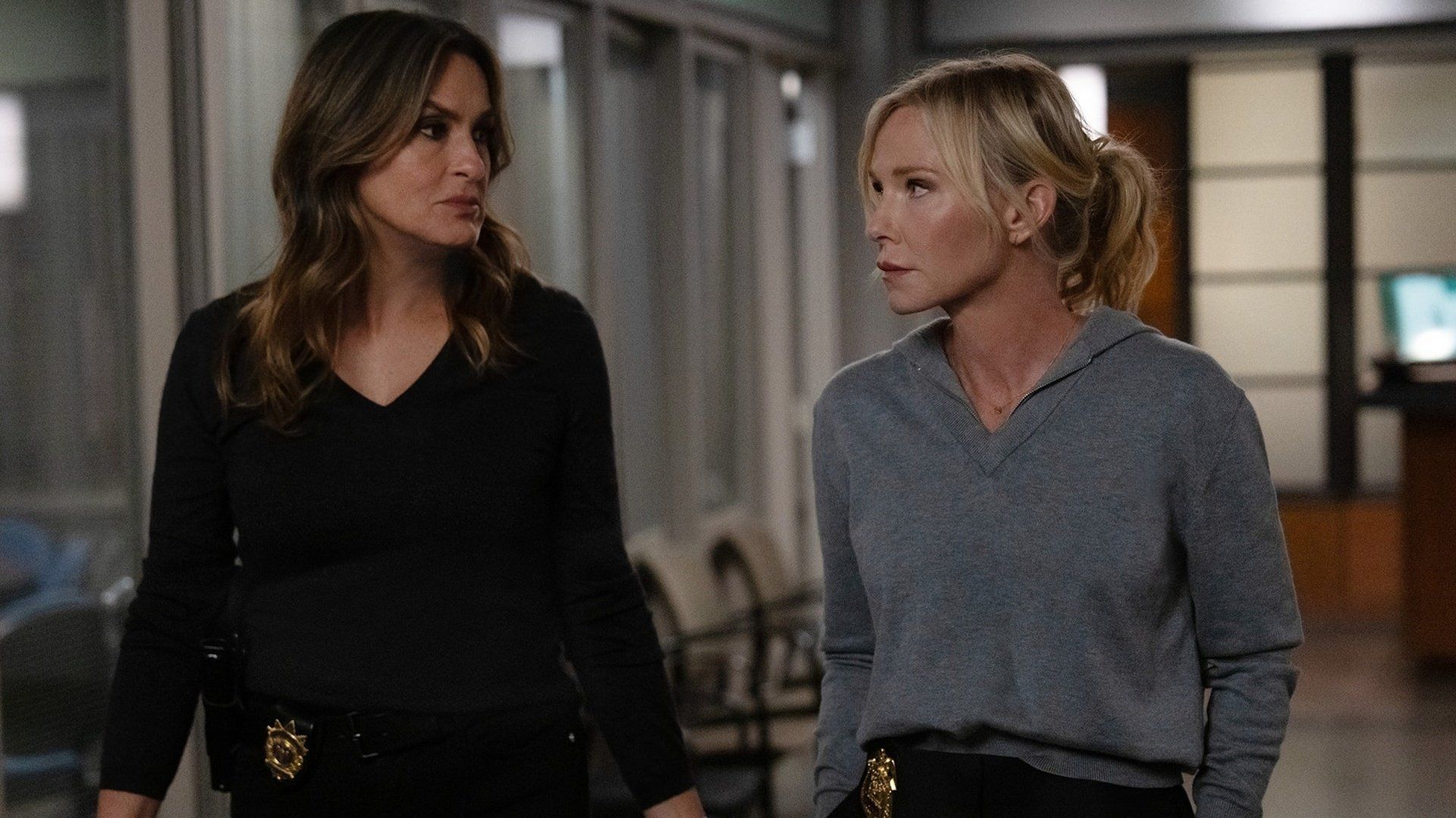 Law & Order: Special Victims Unit background