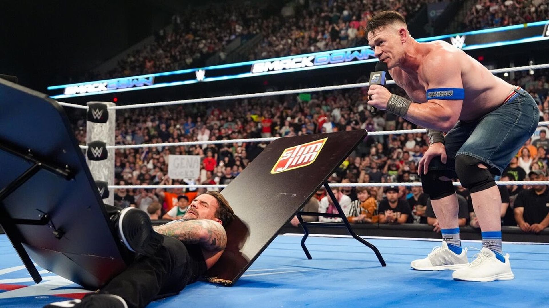 World Wrestling Federation Smackdown! background