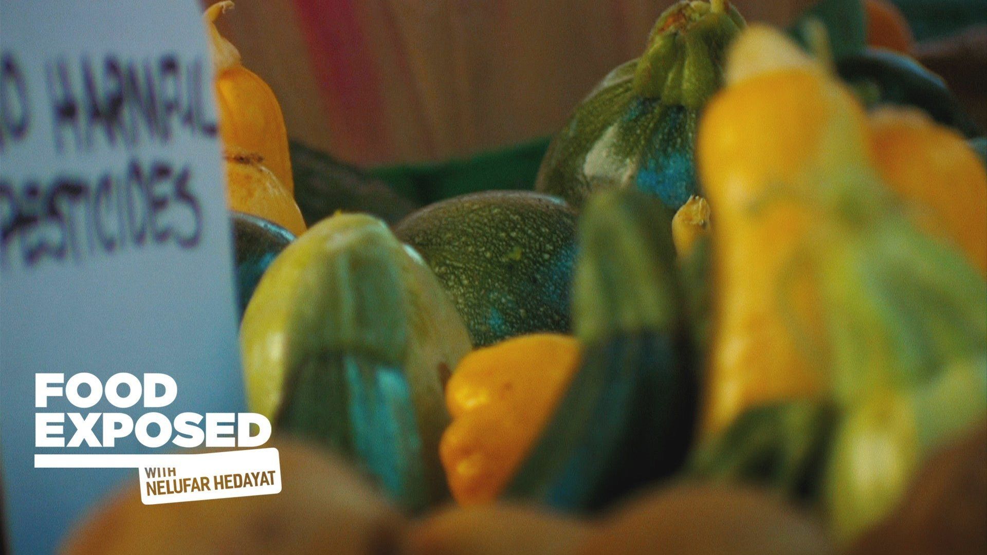 Food Exposed with Nelufar Hedayat background