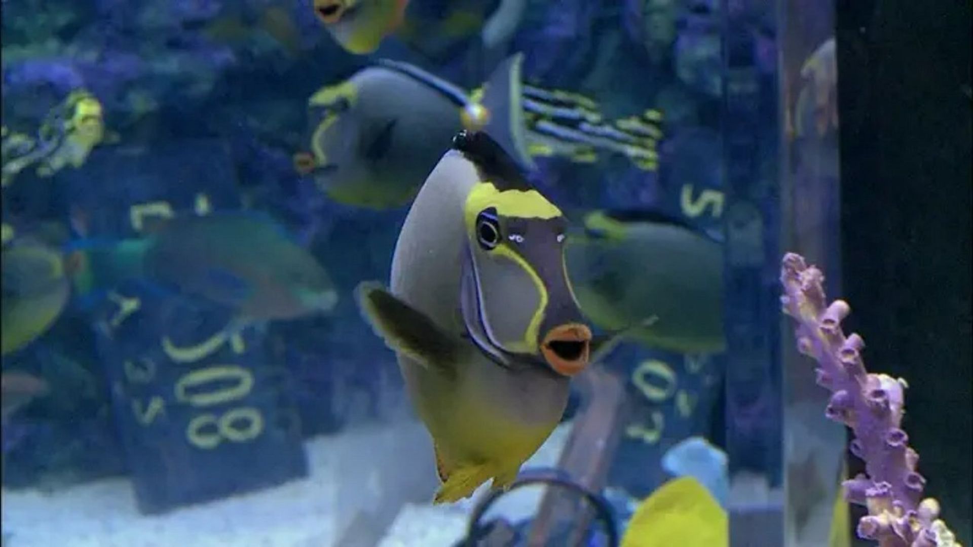 Tanked background