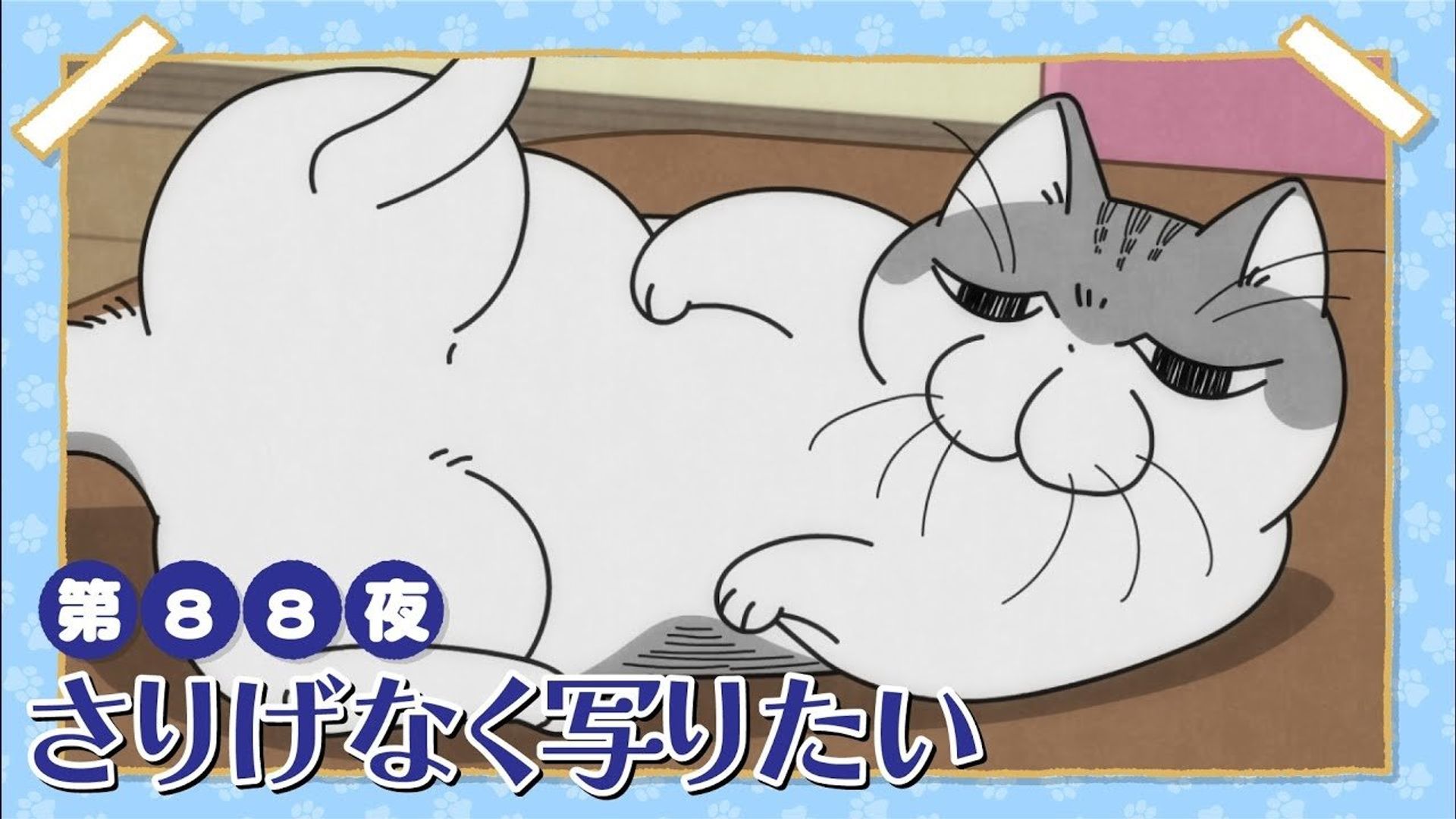 Yoru wa Neko to Issho background