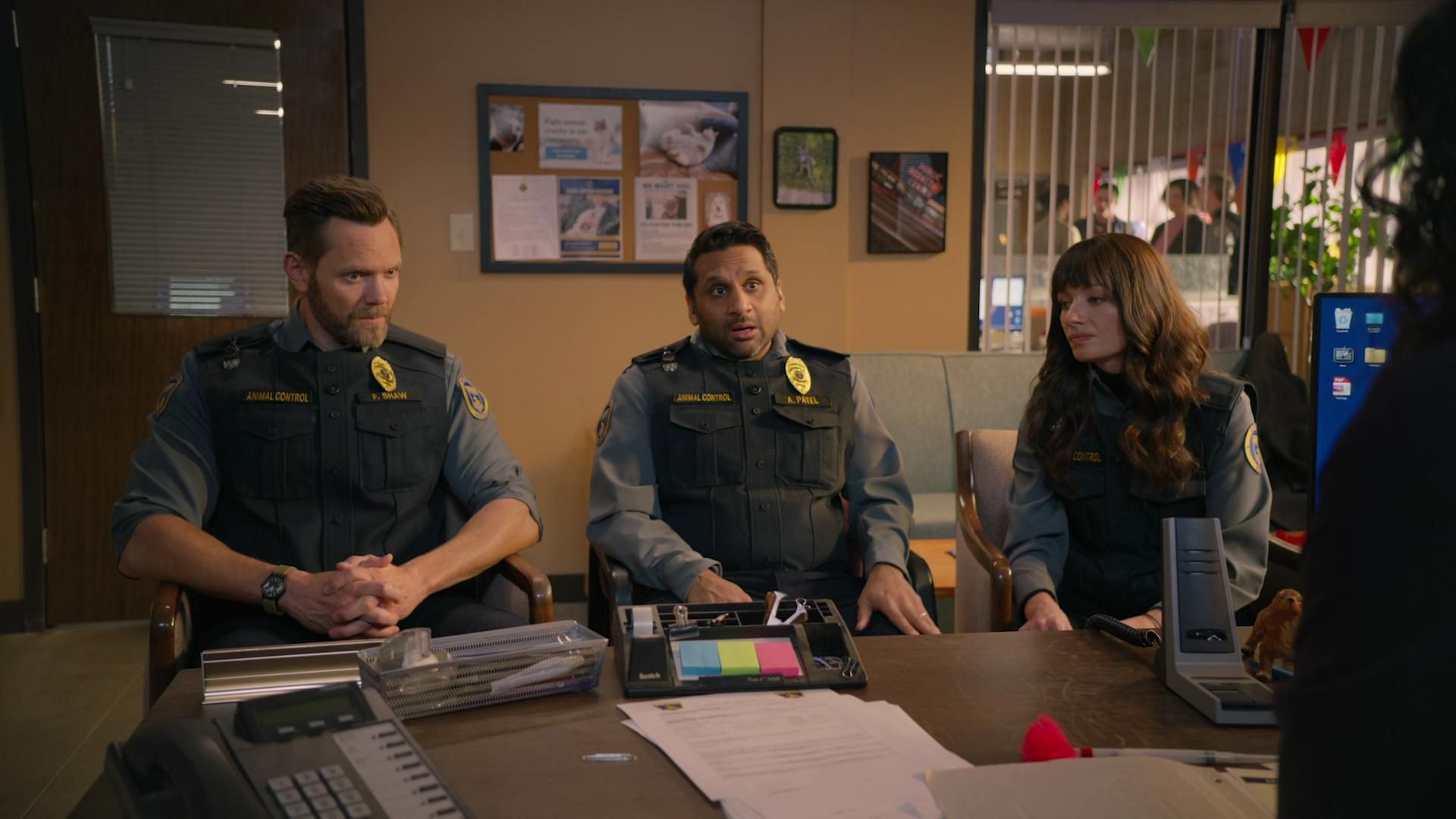 Animal Control background