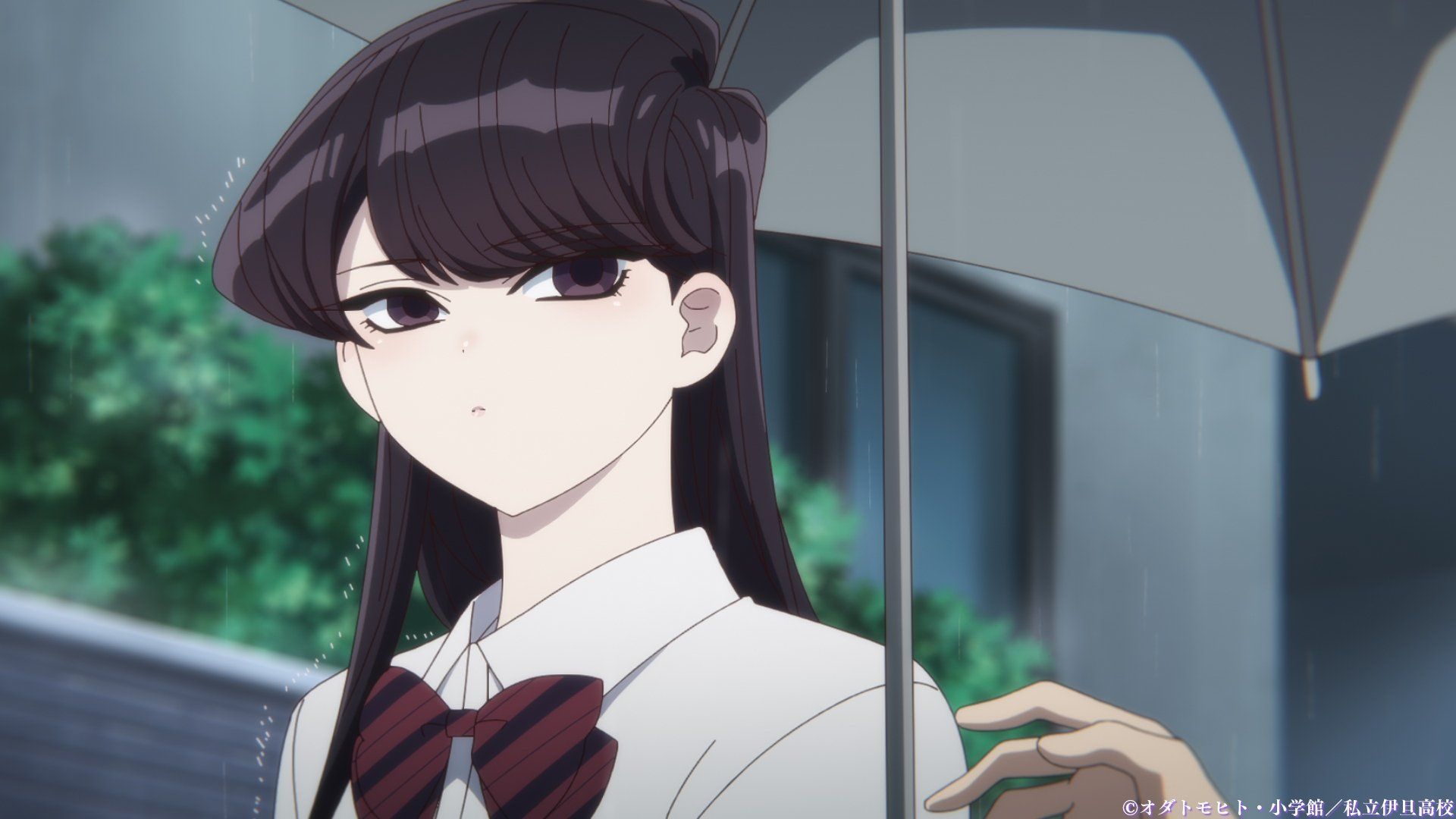 Komi Can't Communicate background