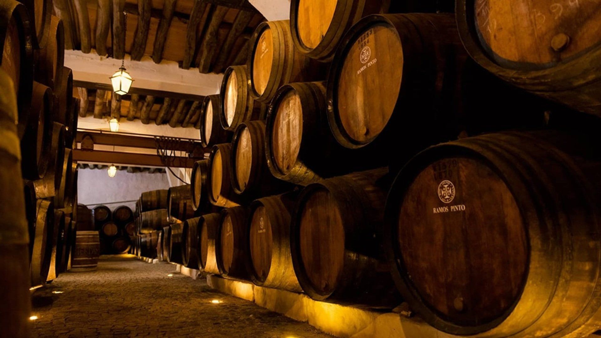 Wie is de Mol? background