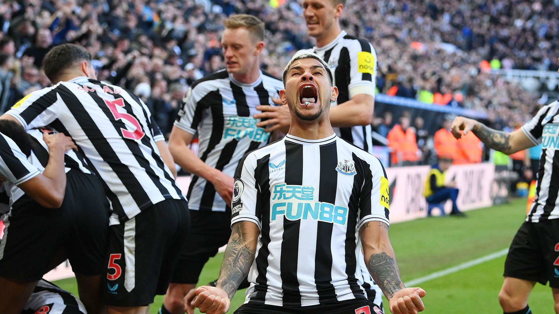 We are Newcastle United background