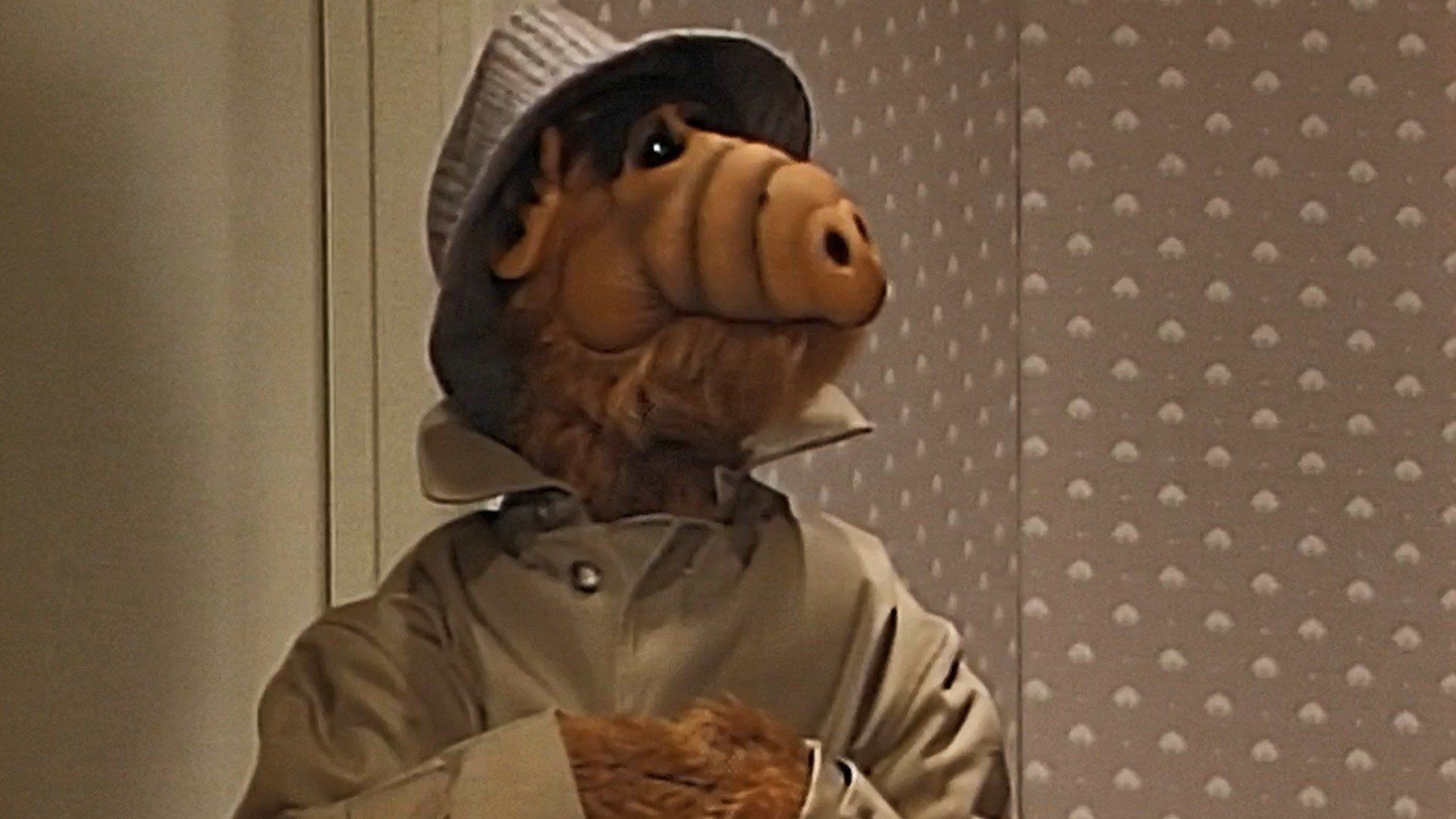 ALF background