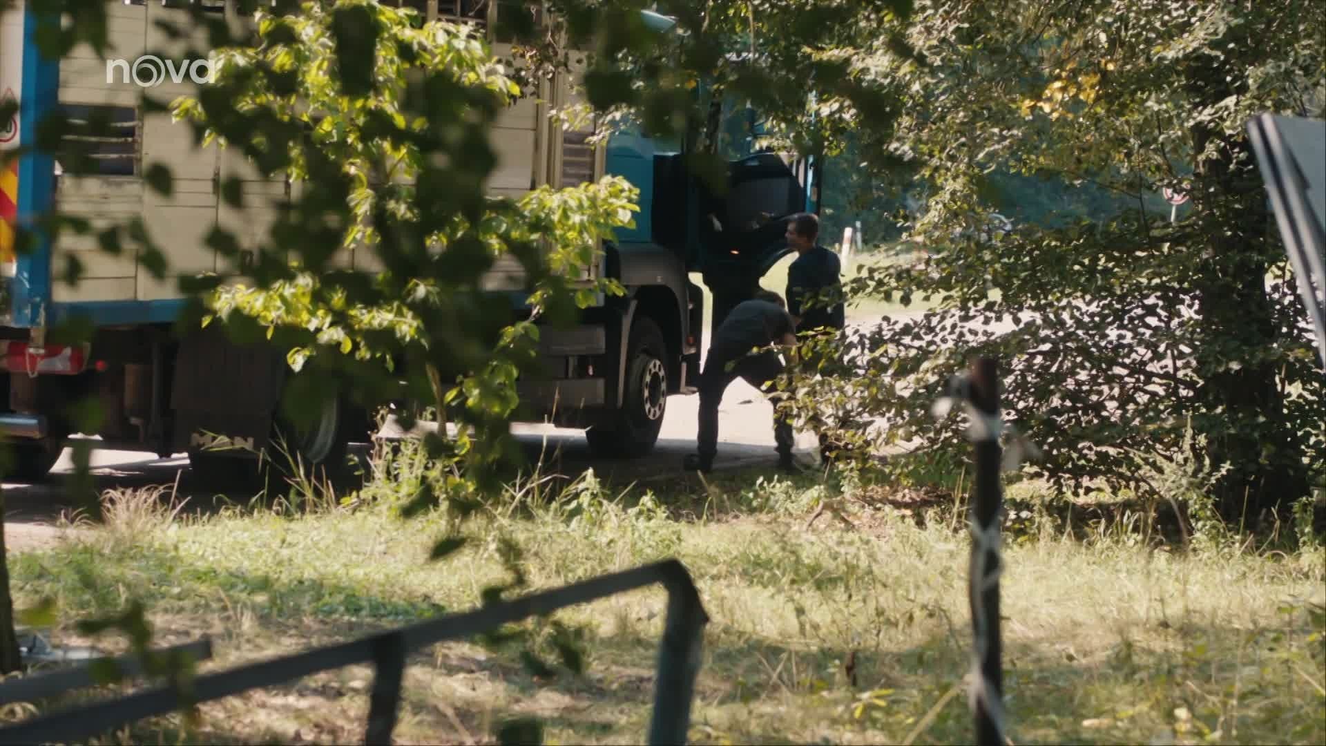 Specialisté background