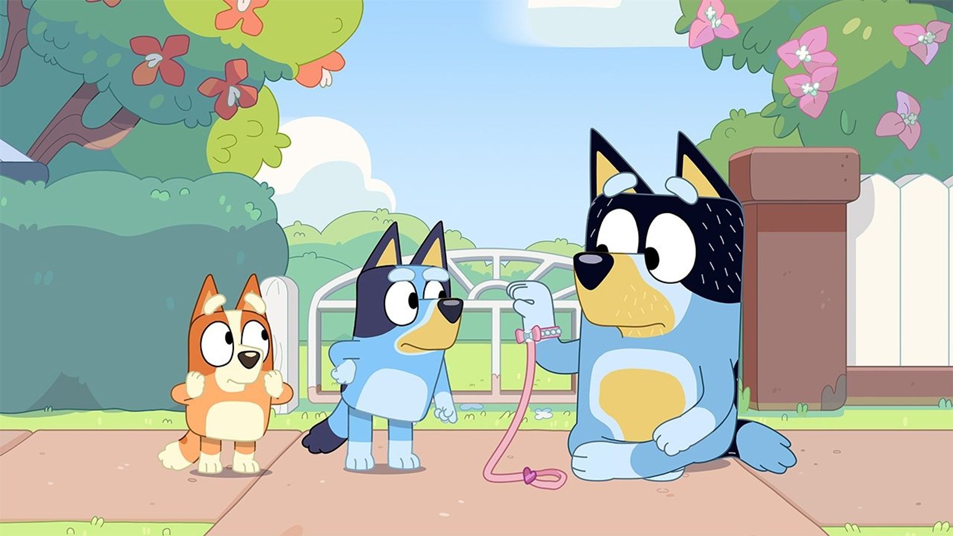 Bluey background