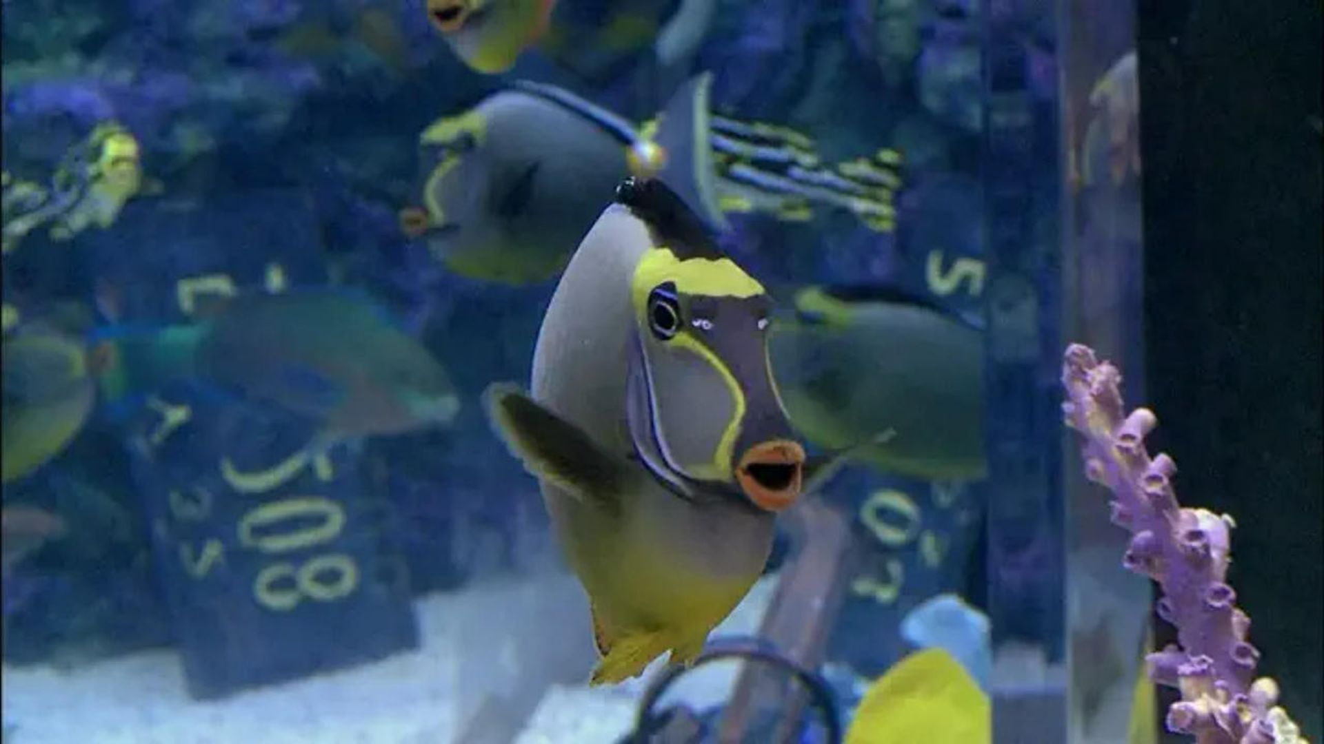 Tanked background