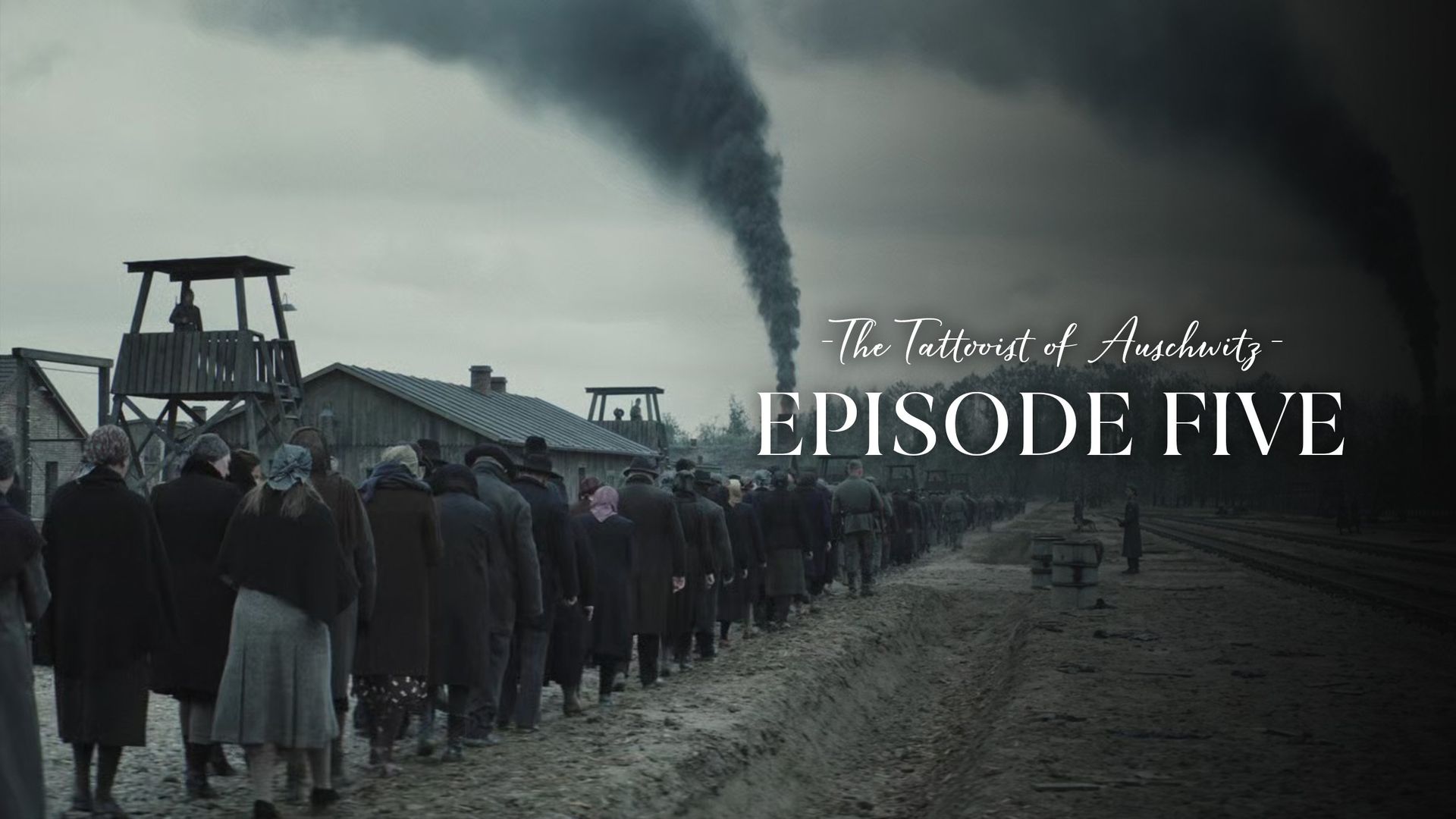 The Tattooist of Auschwitz background