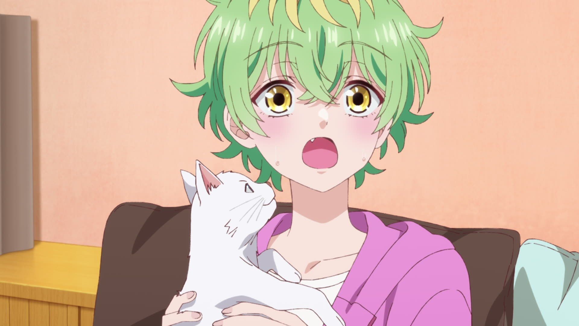Dealing with Mikadono Sisters Is a Breeze background