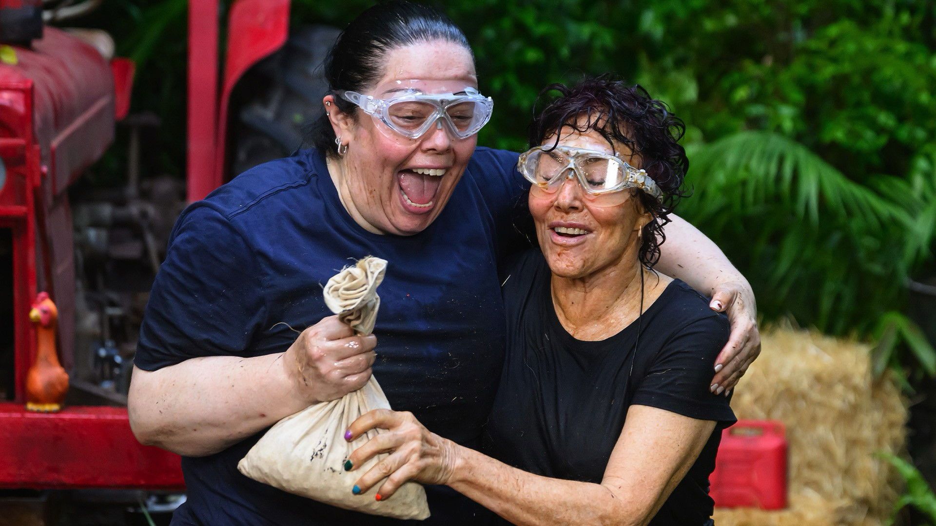 I'm a Celebrity, Get Me Out of Here! background