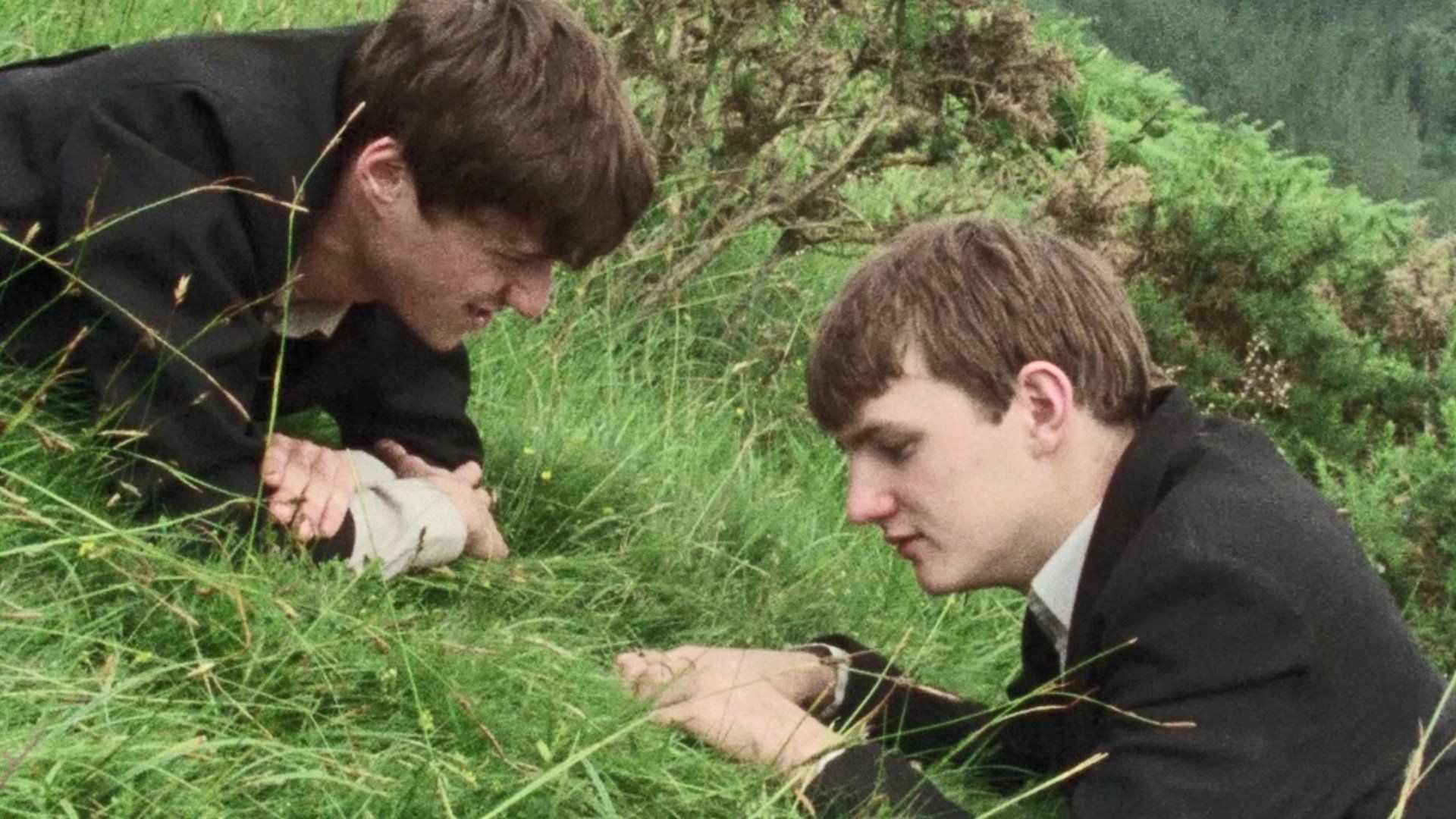 One Summer background