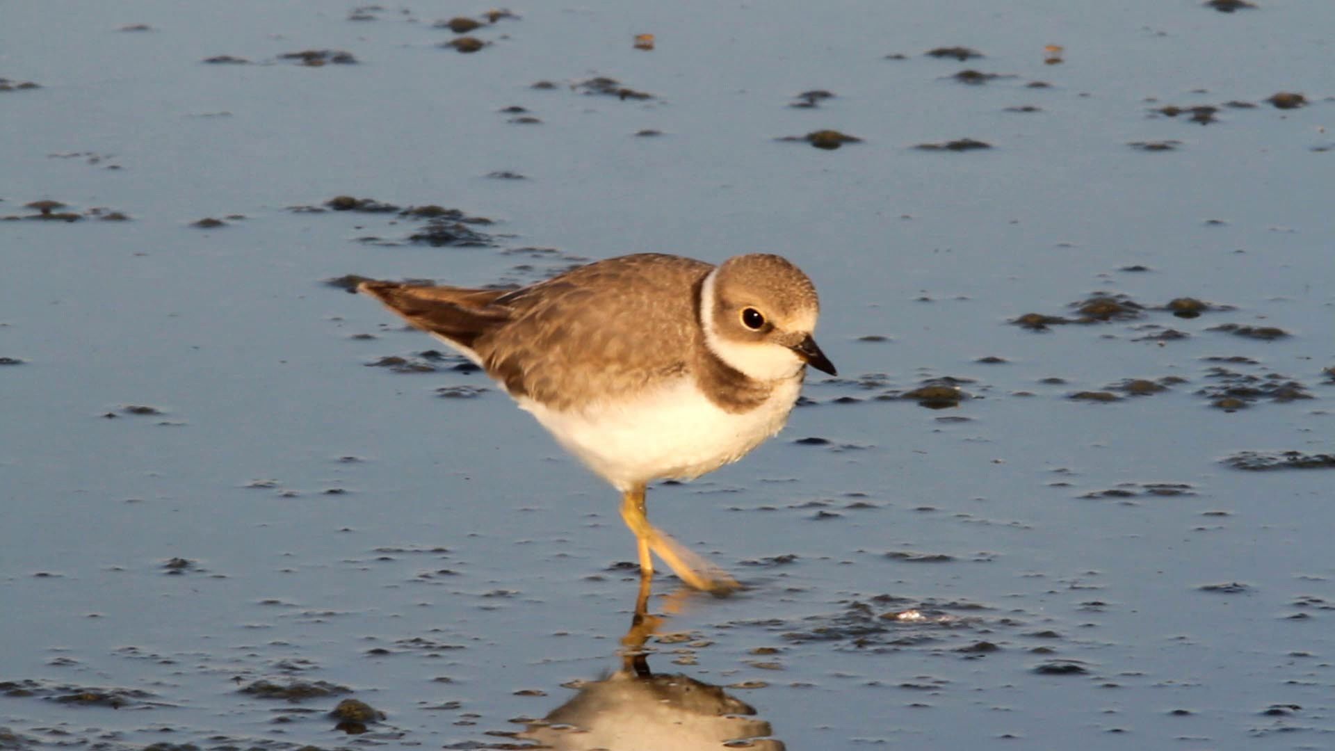 The World's Most Beautiful Landscapes background