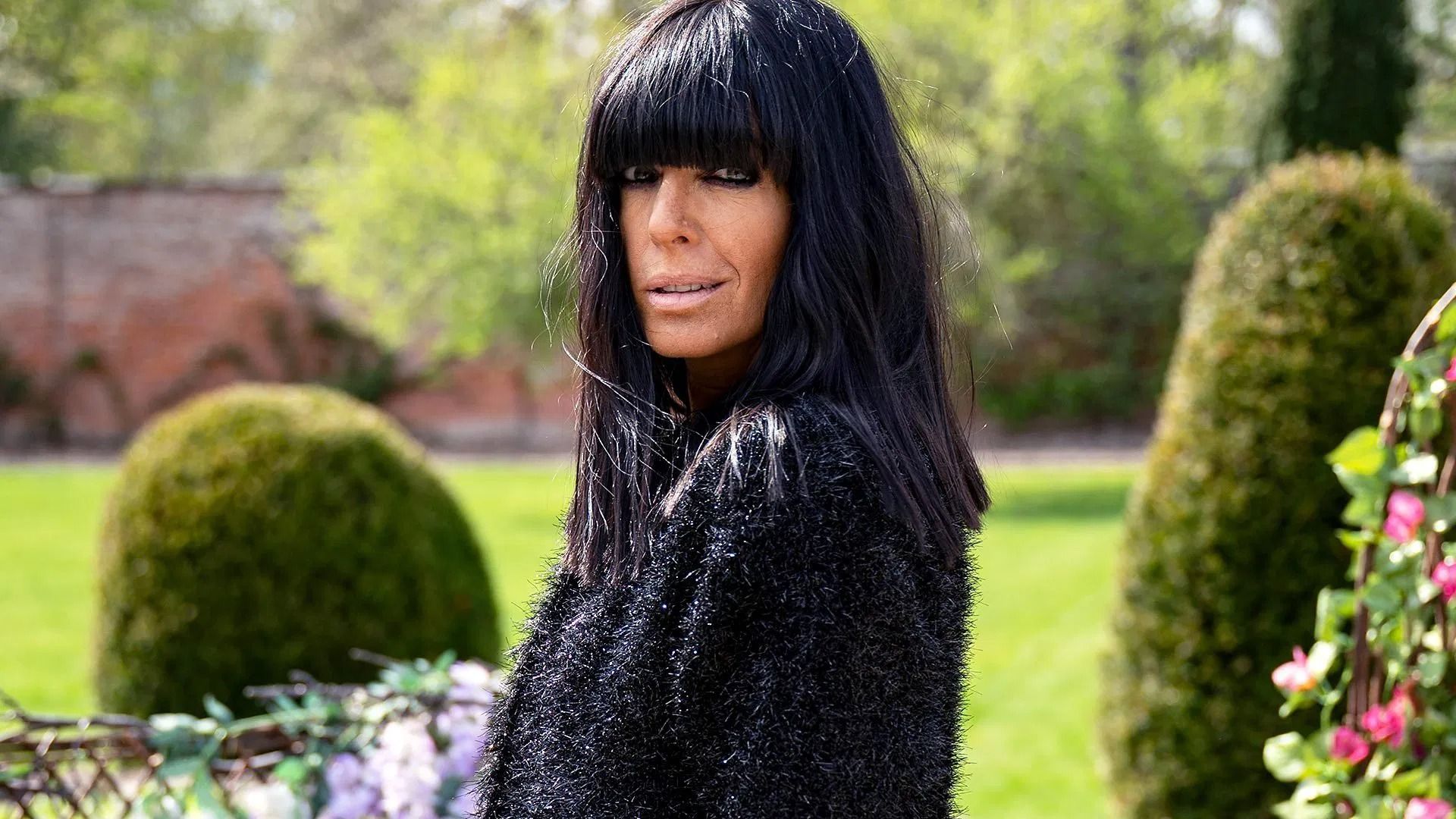 The Celebrity Traitors background