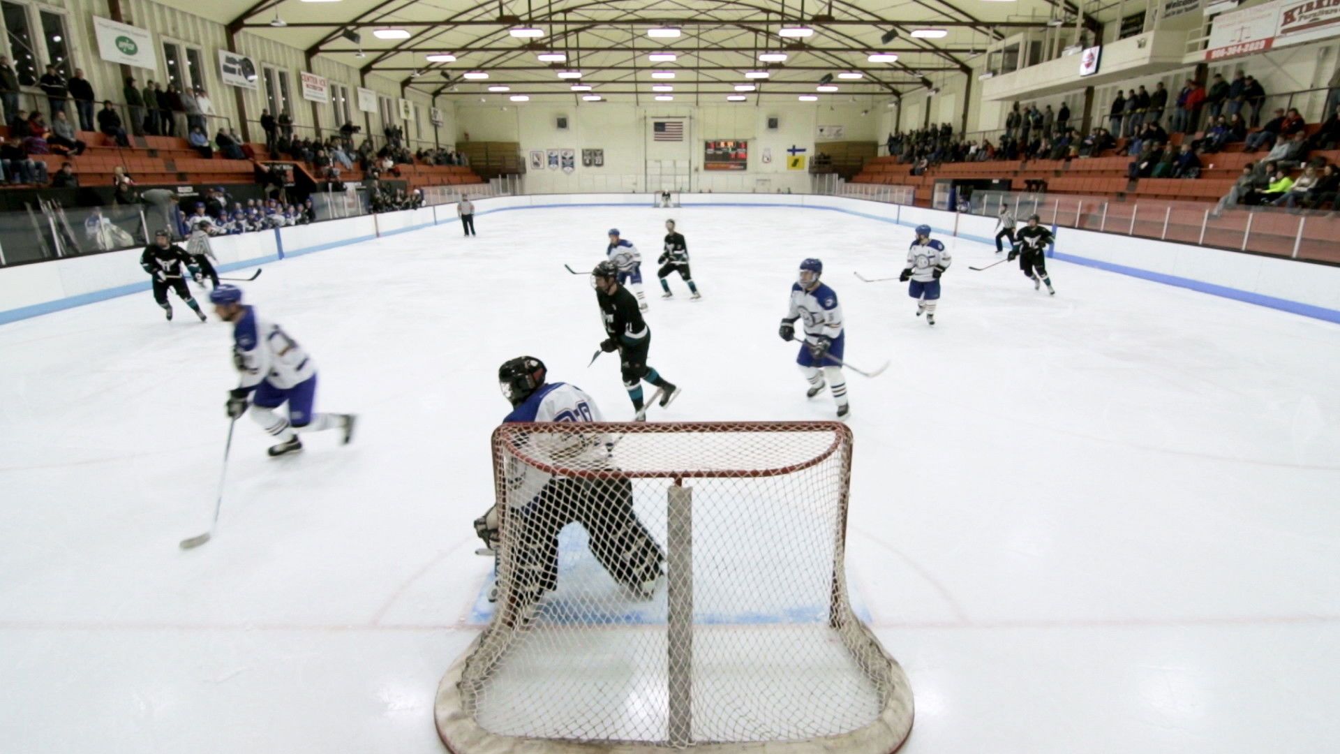 Vice World of Sports background