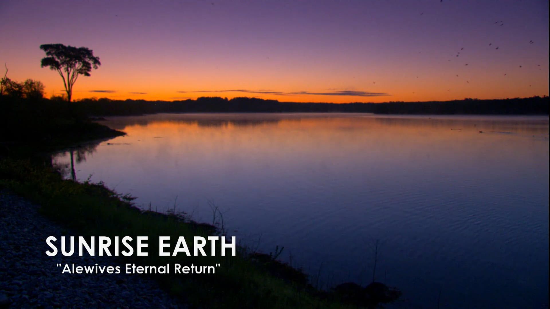 Sunrise Earth background