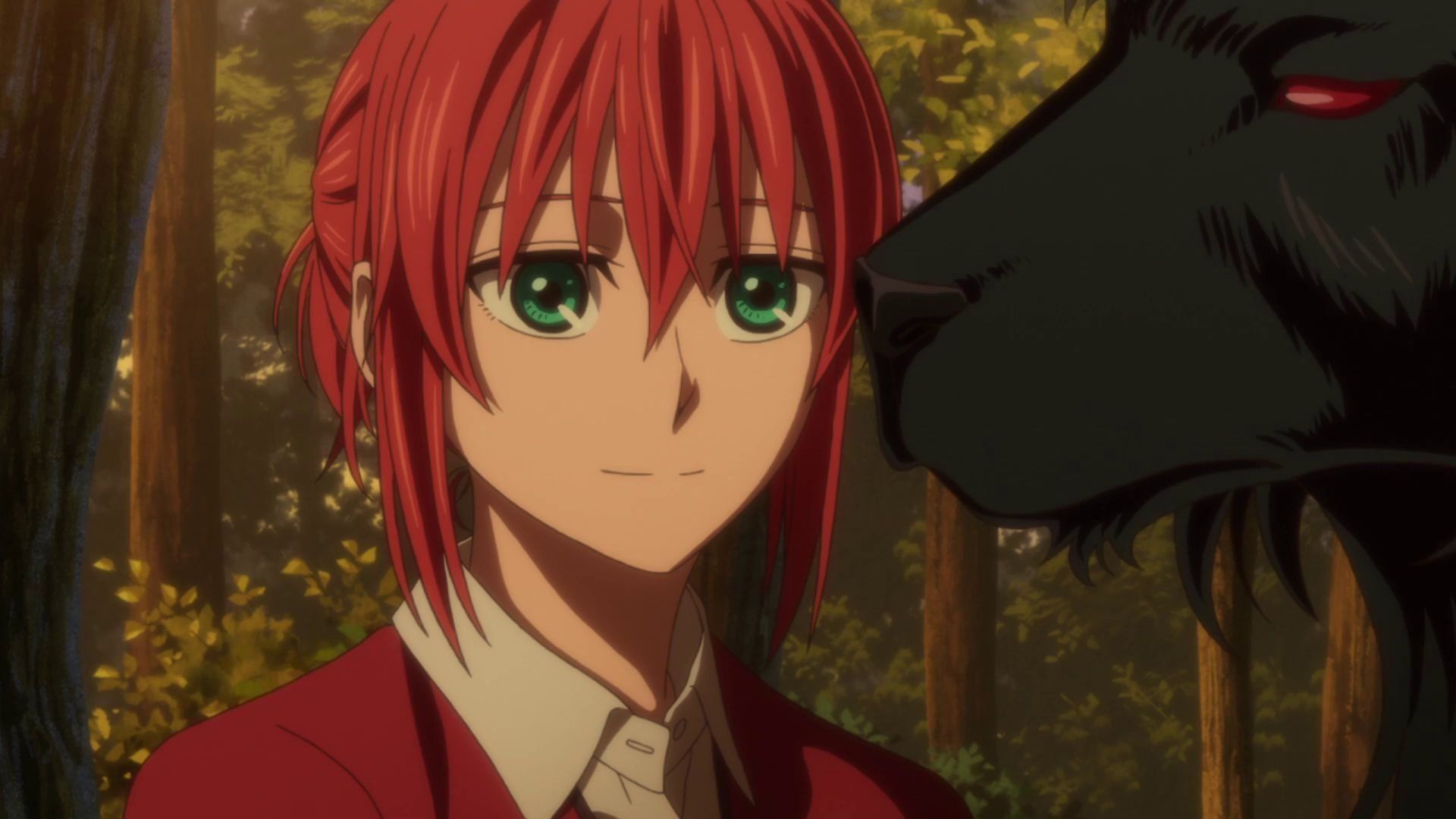 The Ancient Magus' Bride background