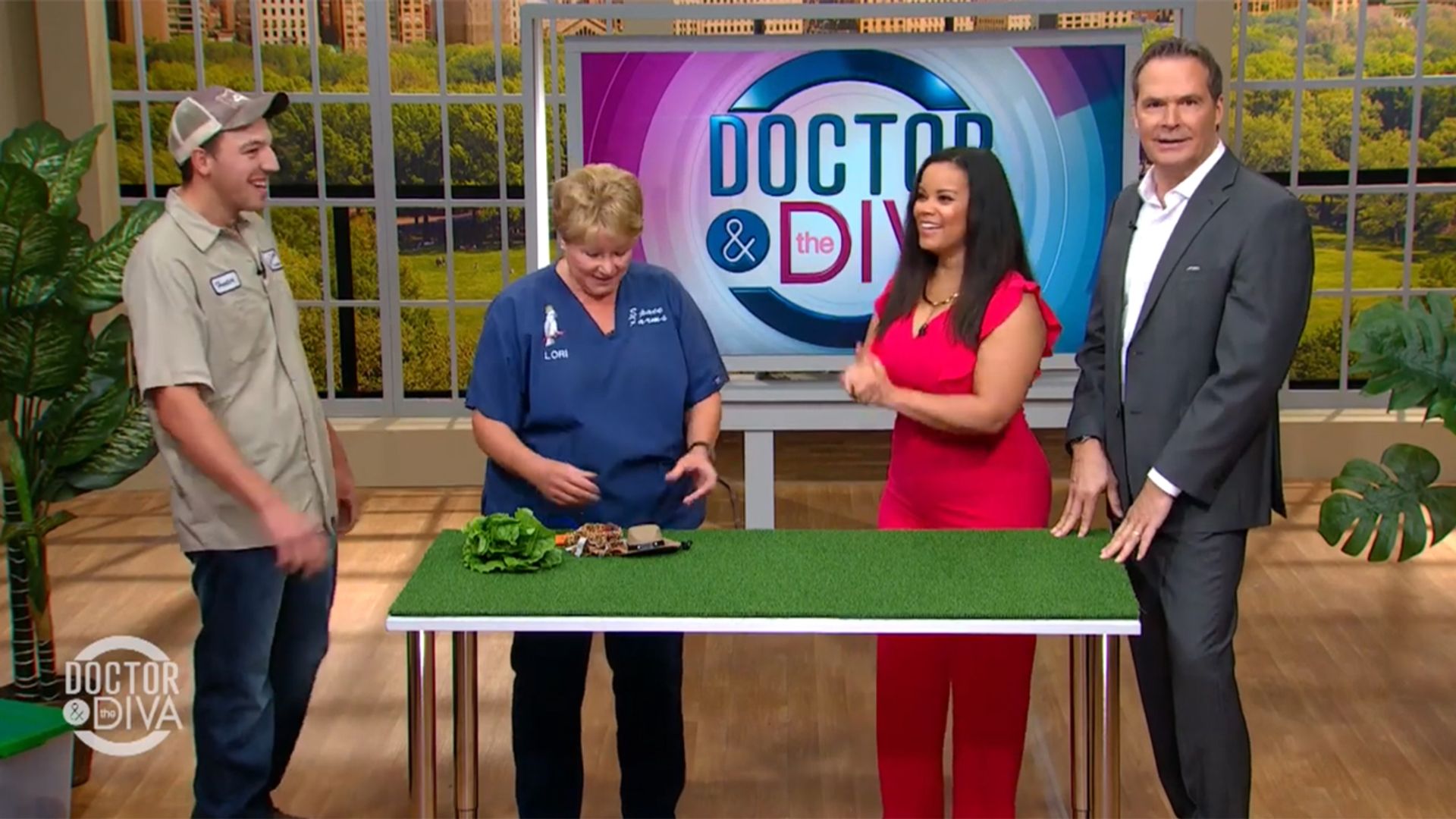 Doctor & the Diva background