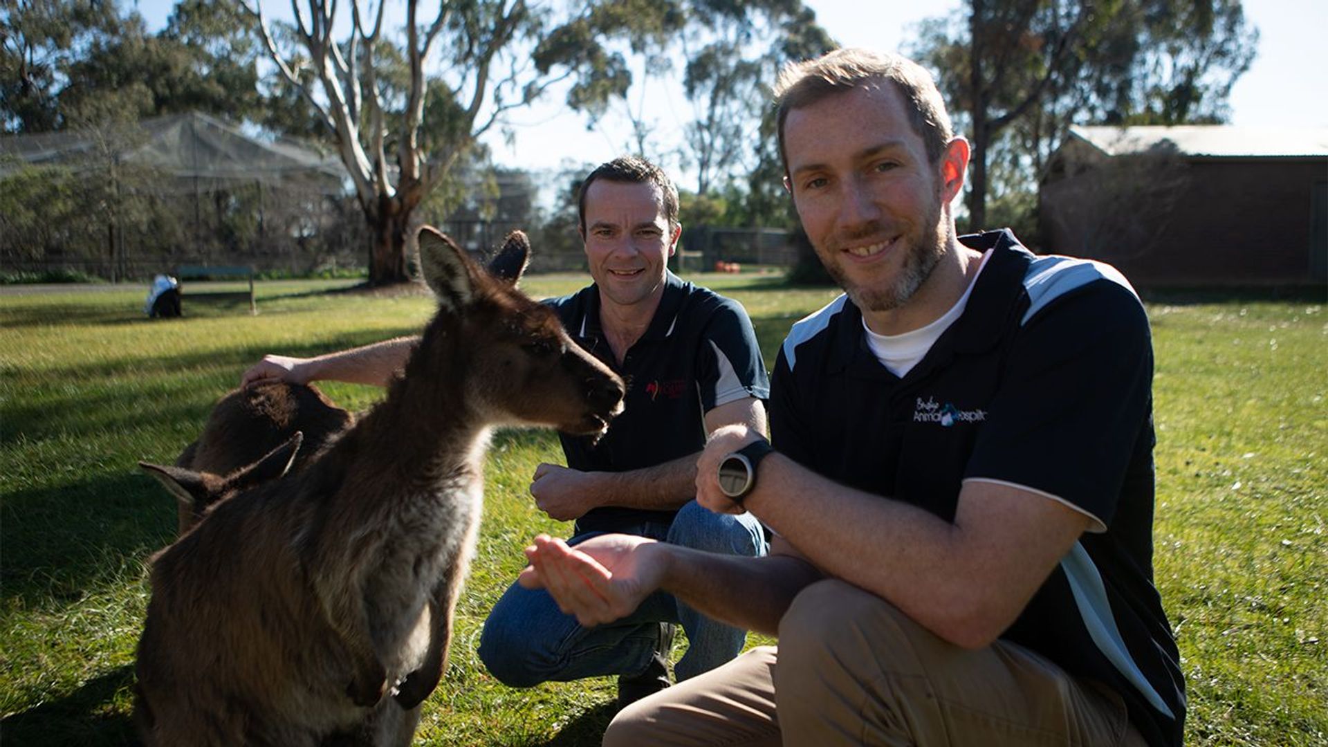 Scottish Vets Down Under background