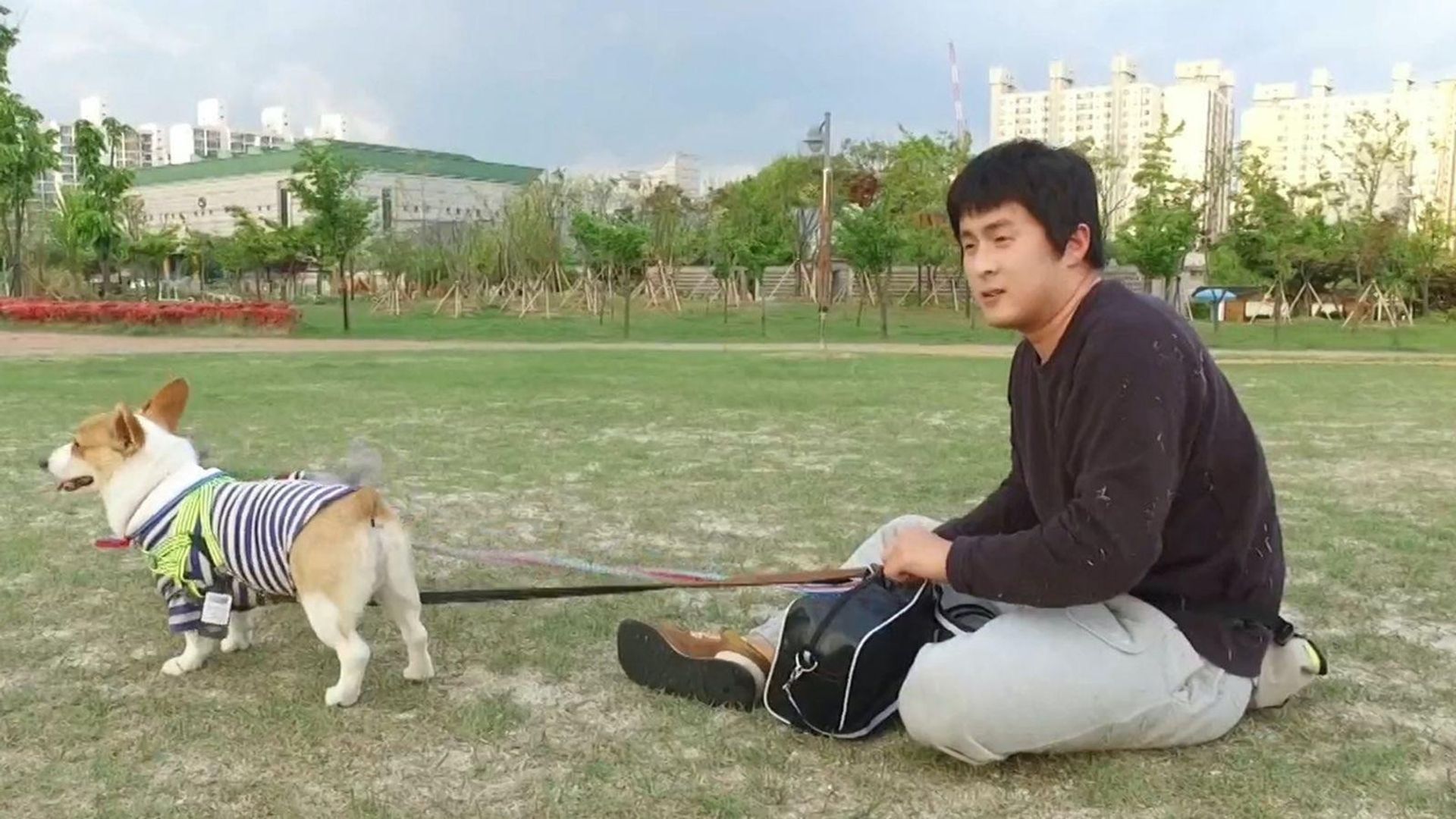 I Live Alone background