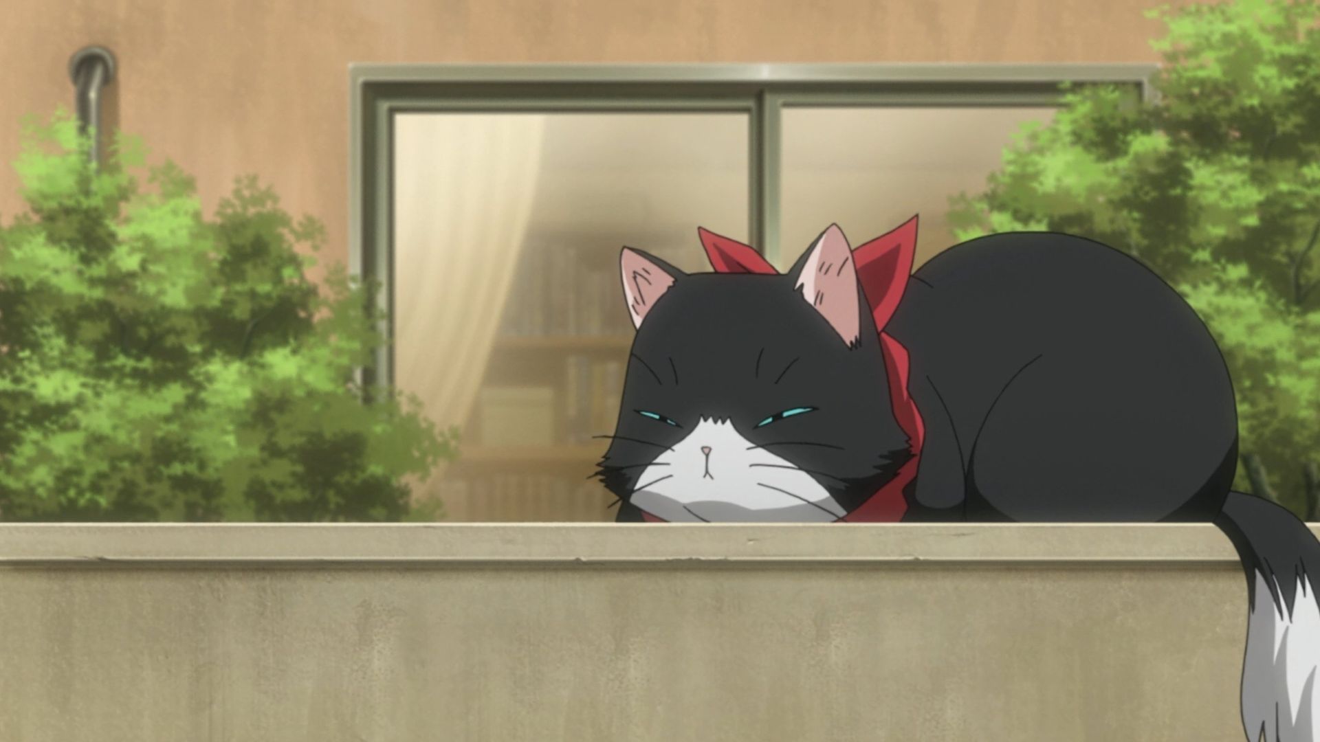 Nyankoi! background