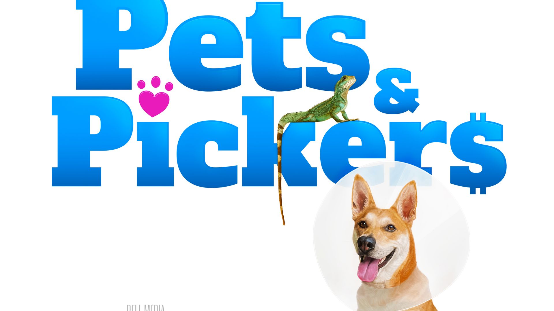 Pets & Pickers background