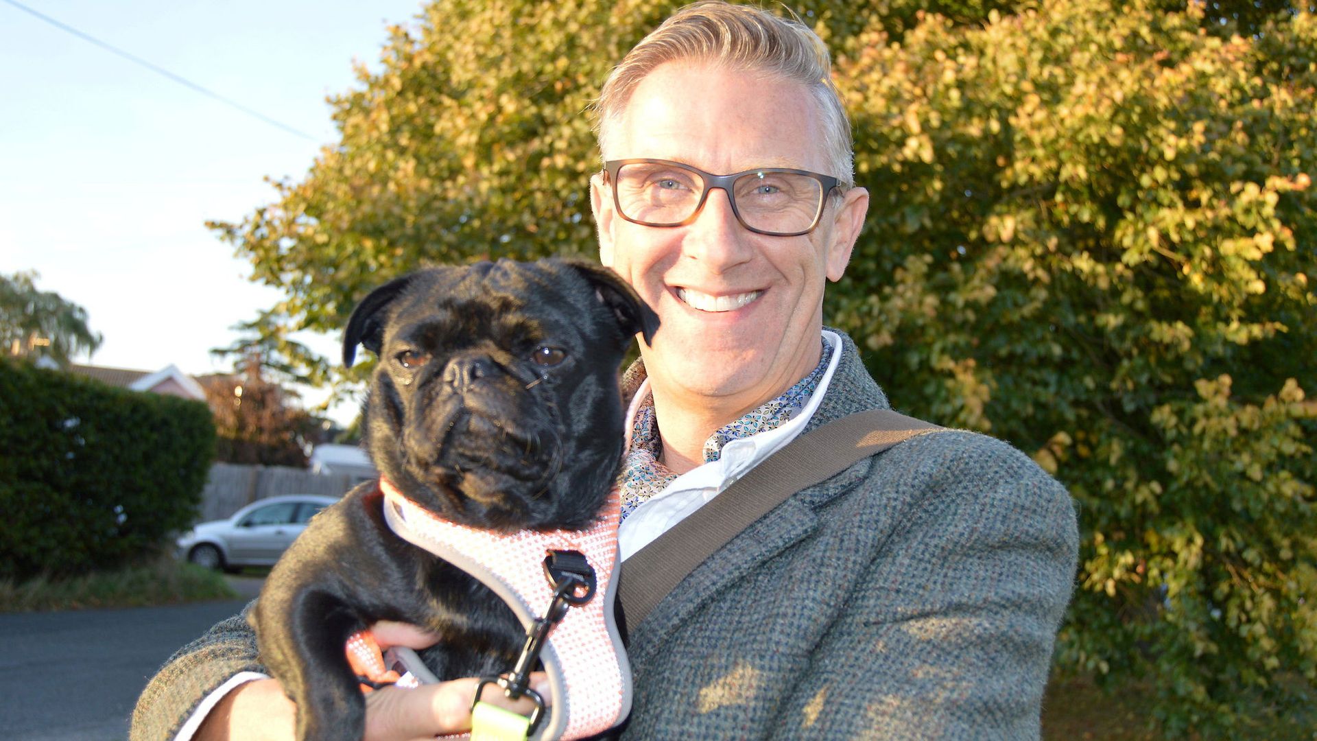 Dogs Behaving (Very) Badly background