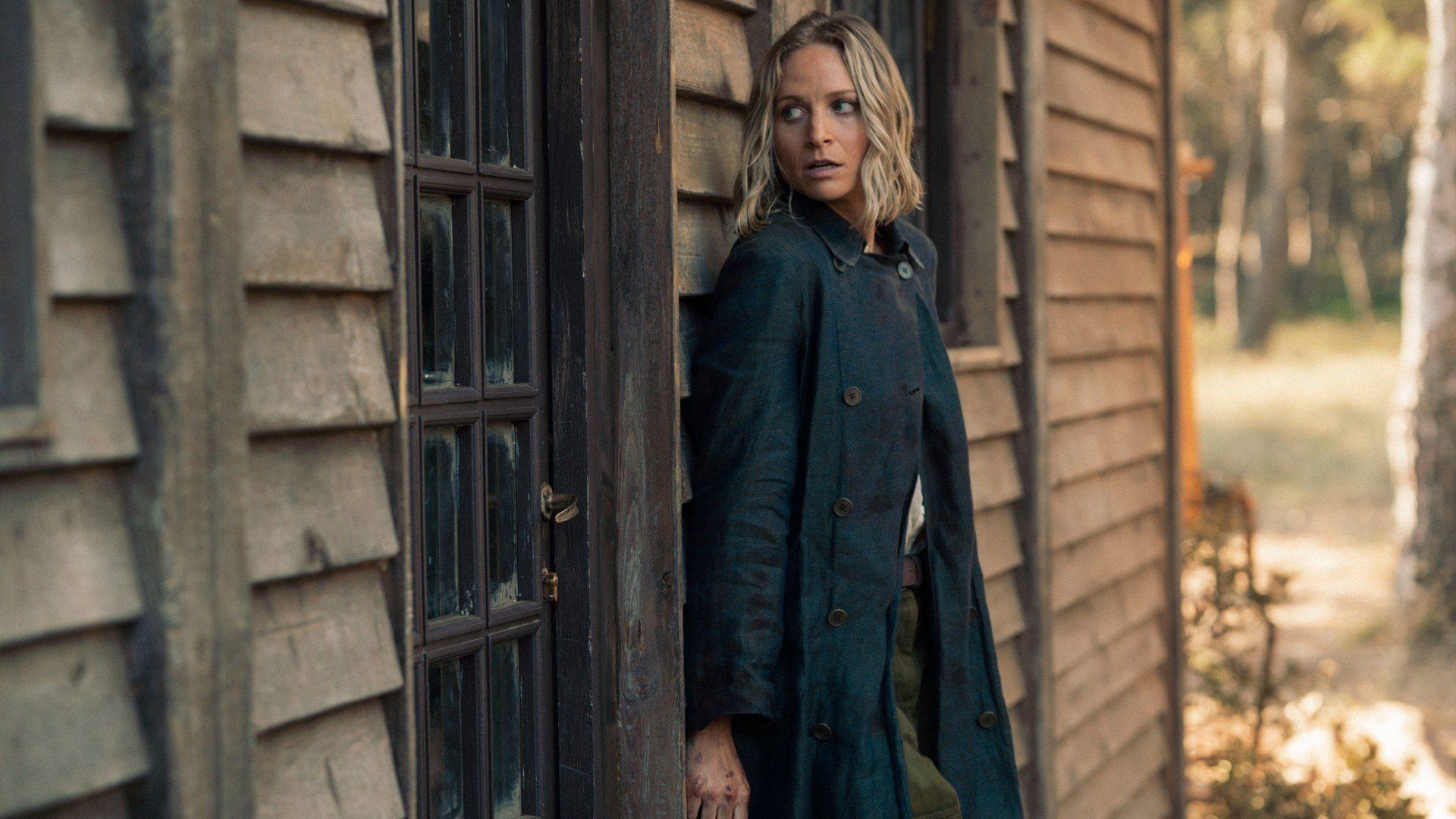 The Iris Affair background