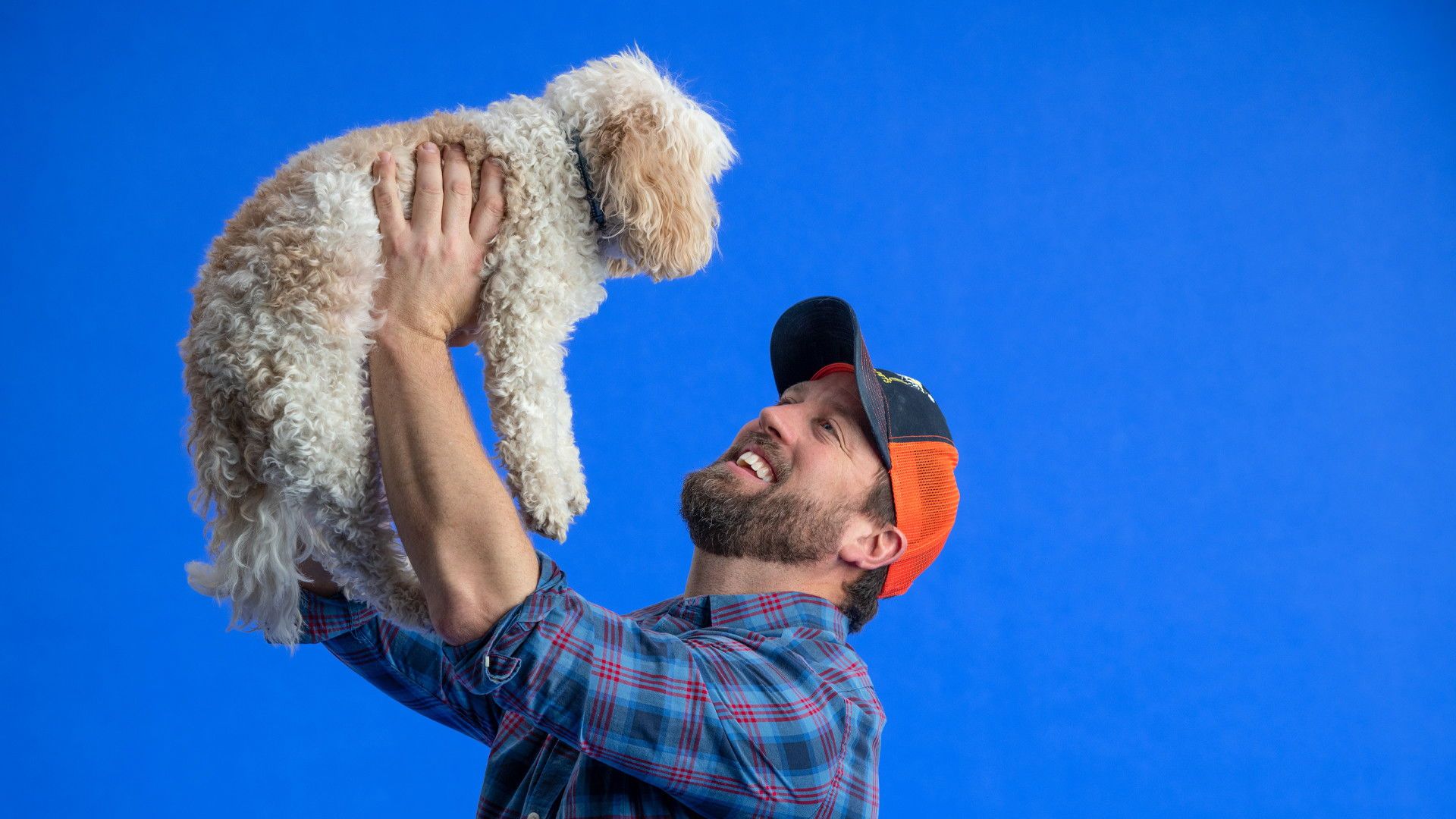 The Wizard of Paws background