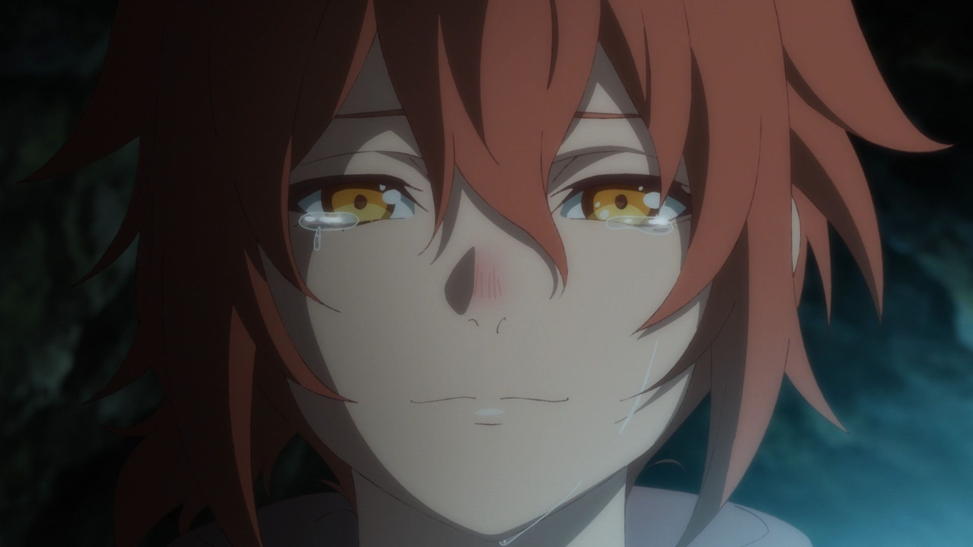 The Faraway Paladin background