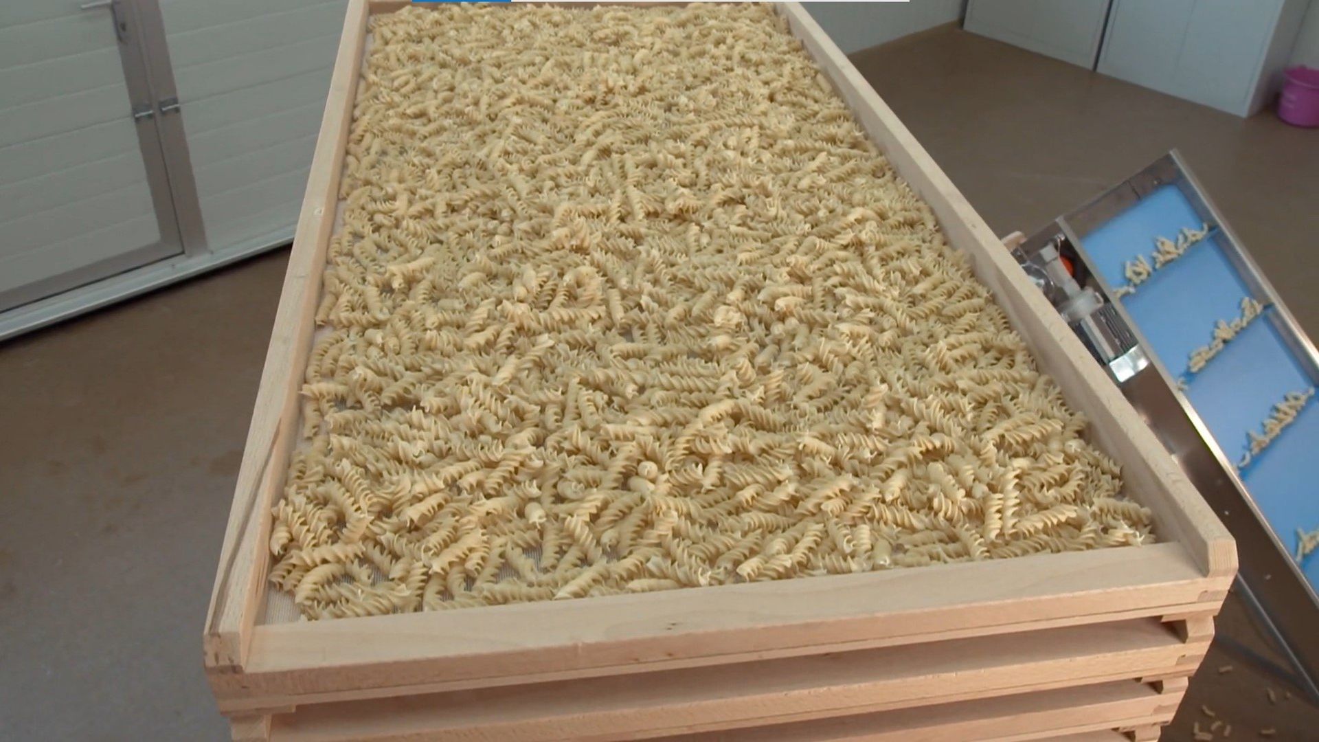 Die Sendung mit dem Elefanten background