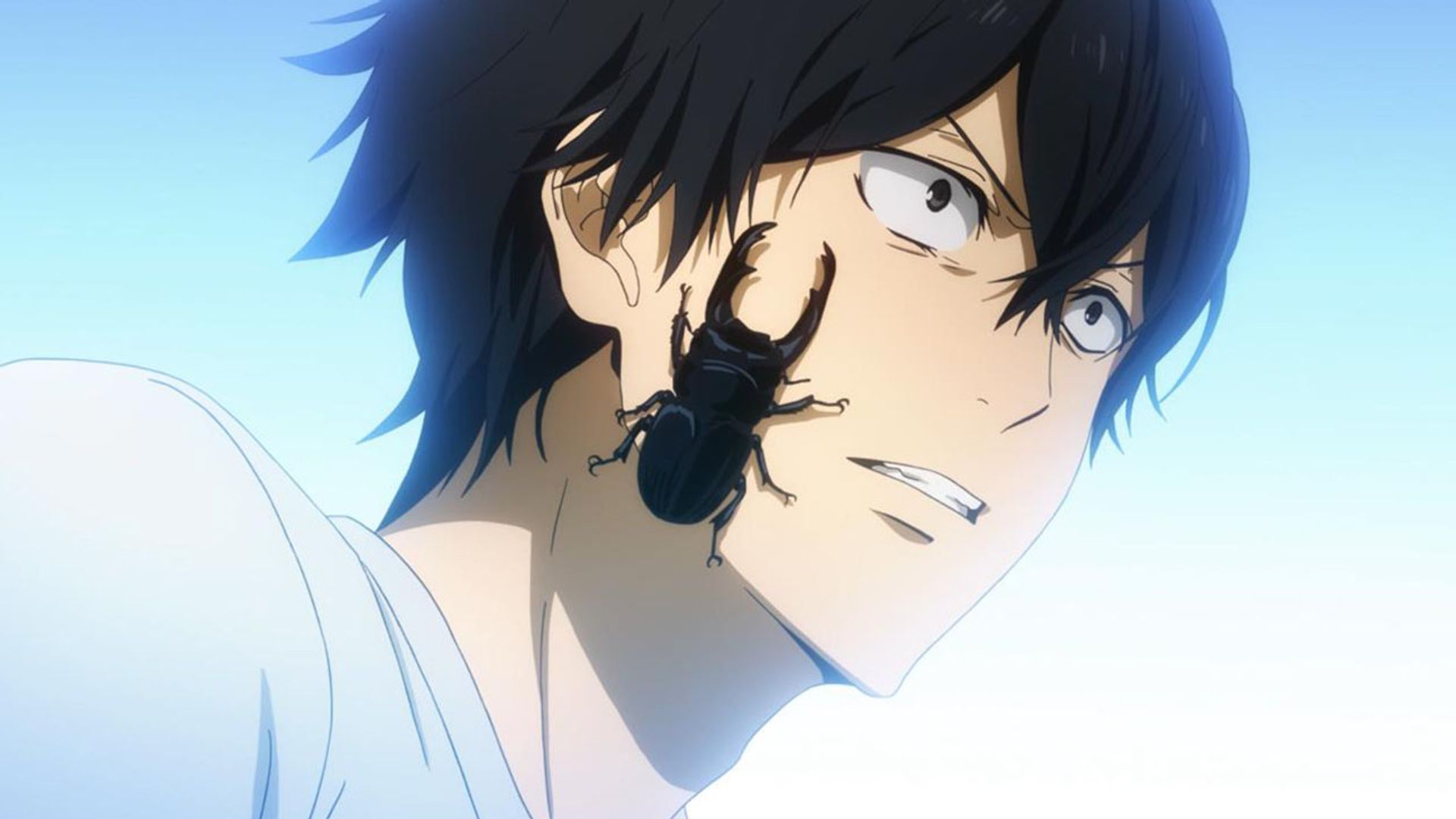 Barakamon background