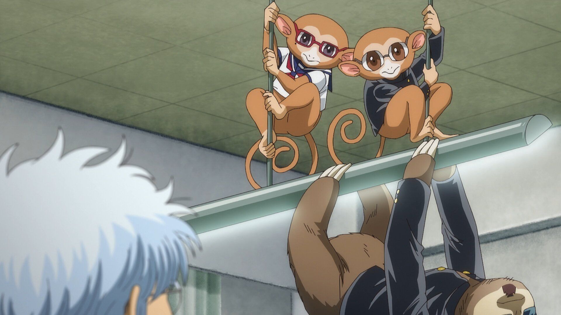 GINTAMA - Mr.Ginpachi's Zany Class background