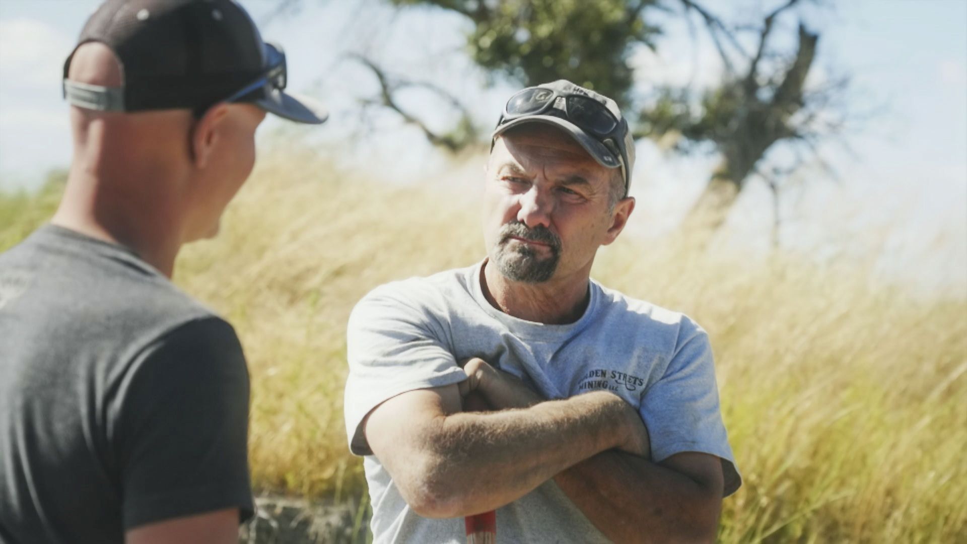 America's Backyard Gold background