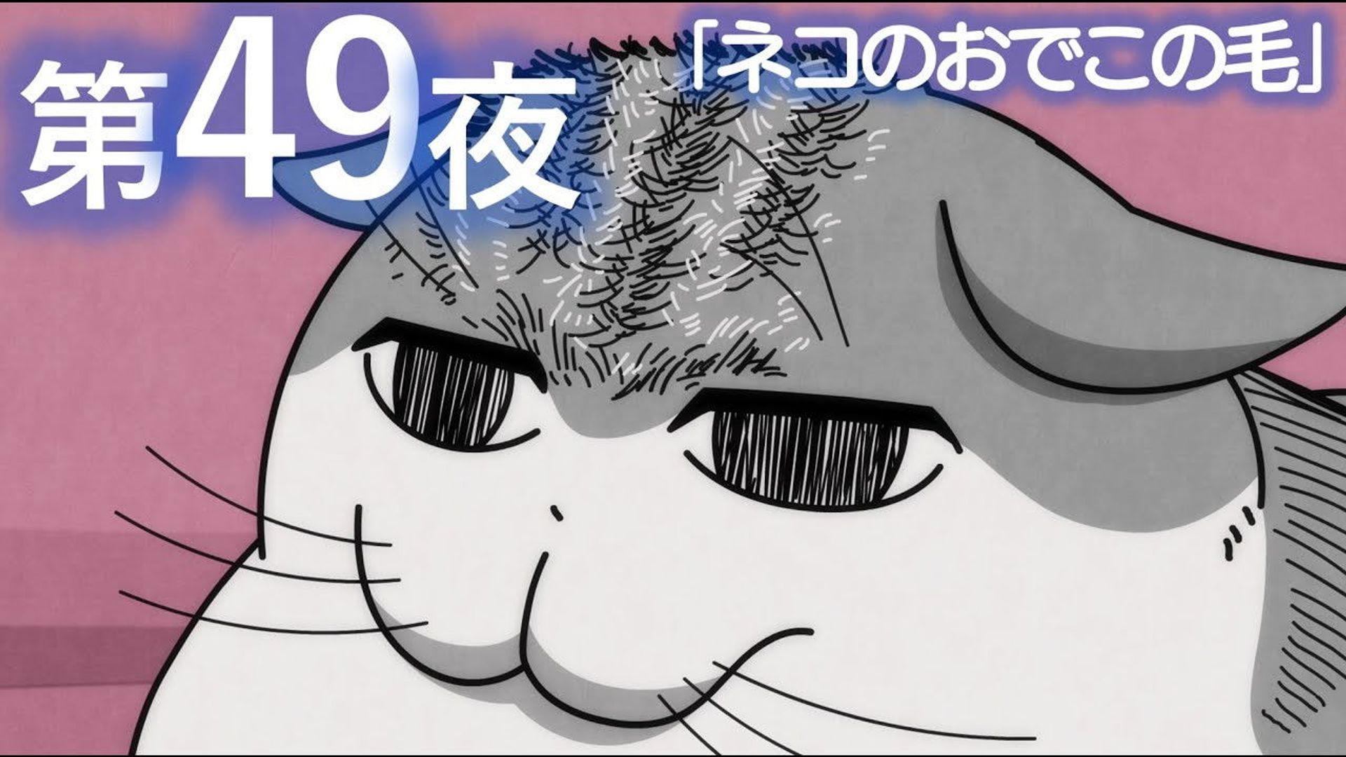 Yoru wa Neko to Issho background
