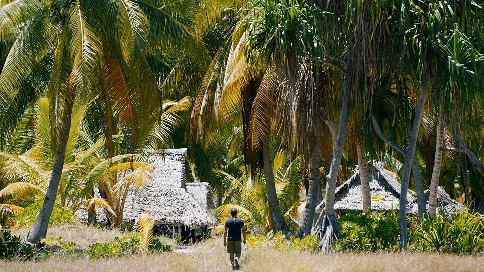 My Pacific Quest background