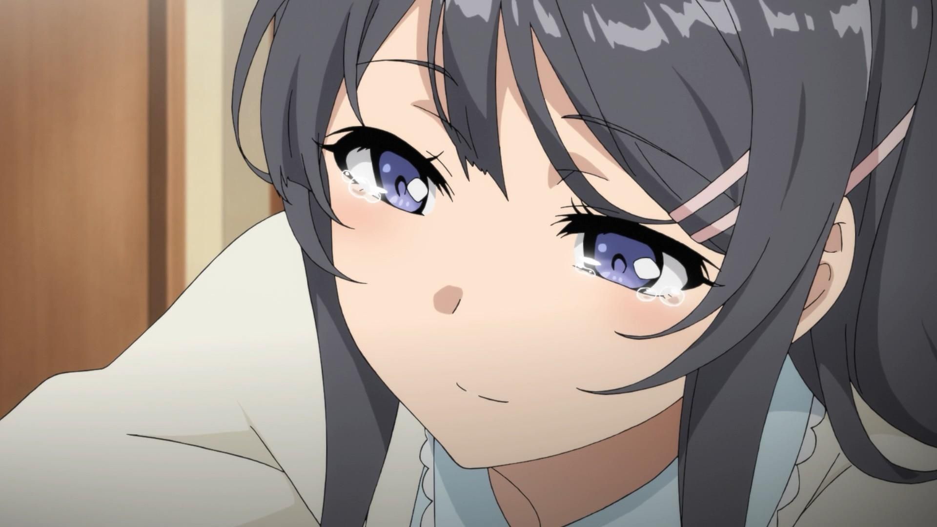 Rascal Does Not Dream of Bunny Girl Senpai background