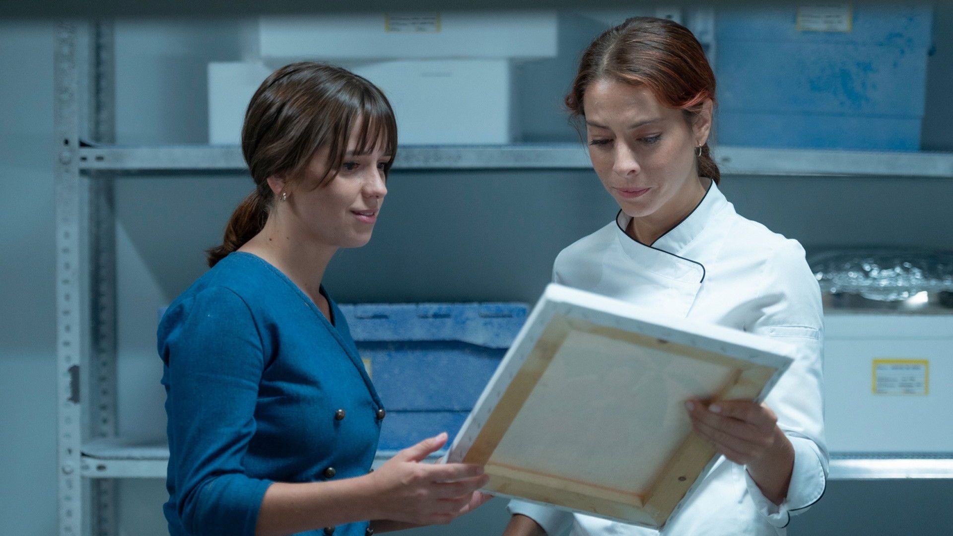 4 estrellas background