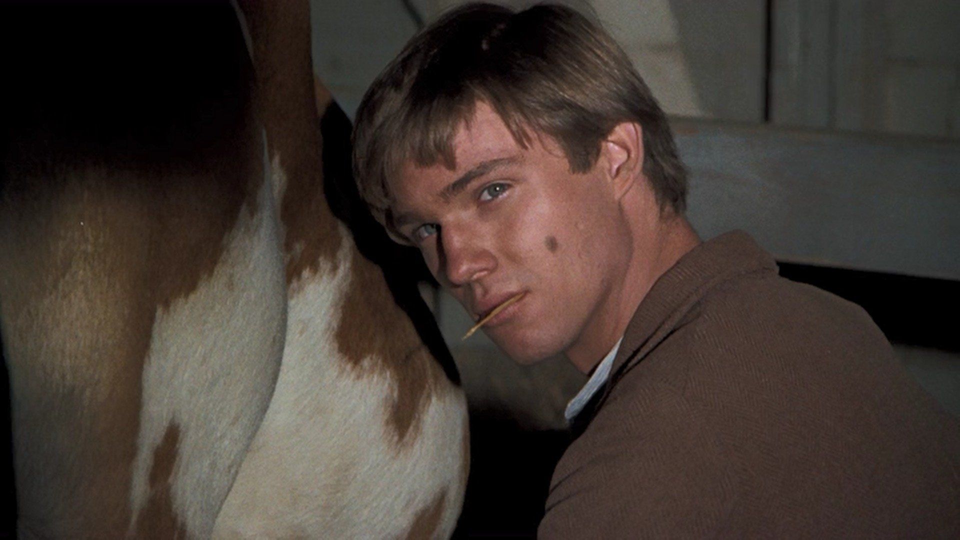 The Waltons background