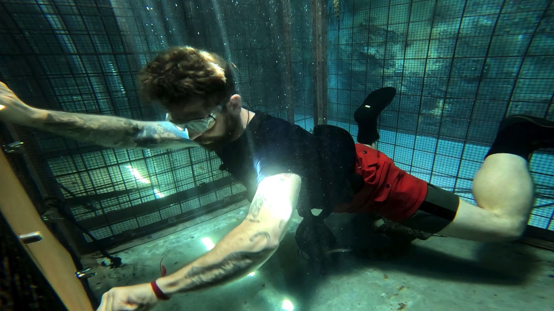 I'm a Celebrity, Get Me Out of Here! background