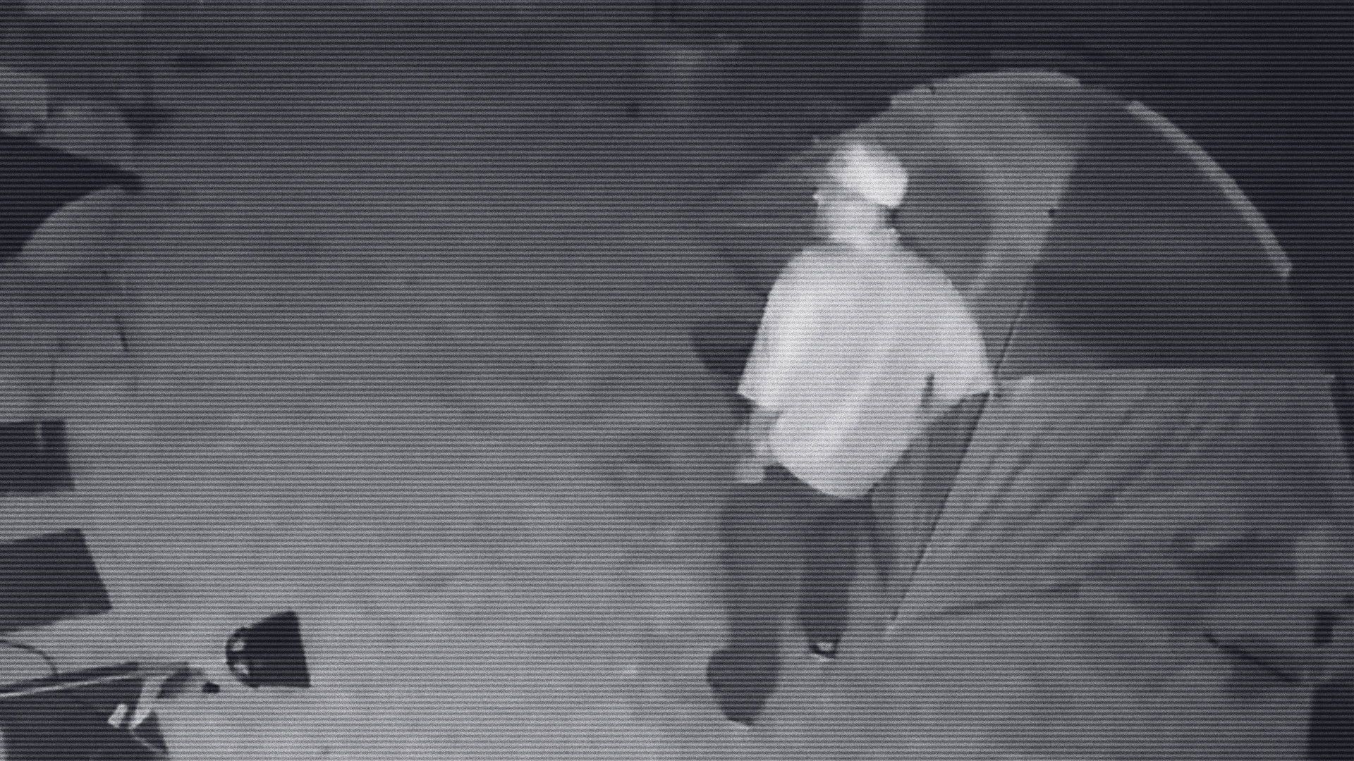 Crimes Gone Viral background