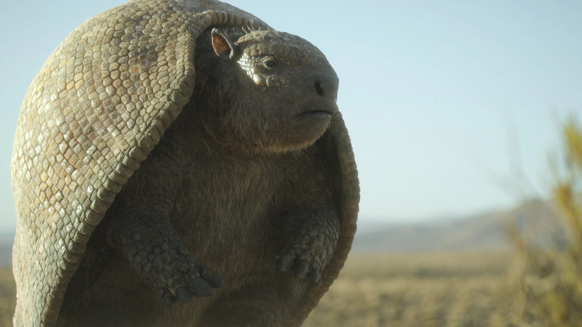 Prehistoric Planet background