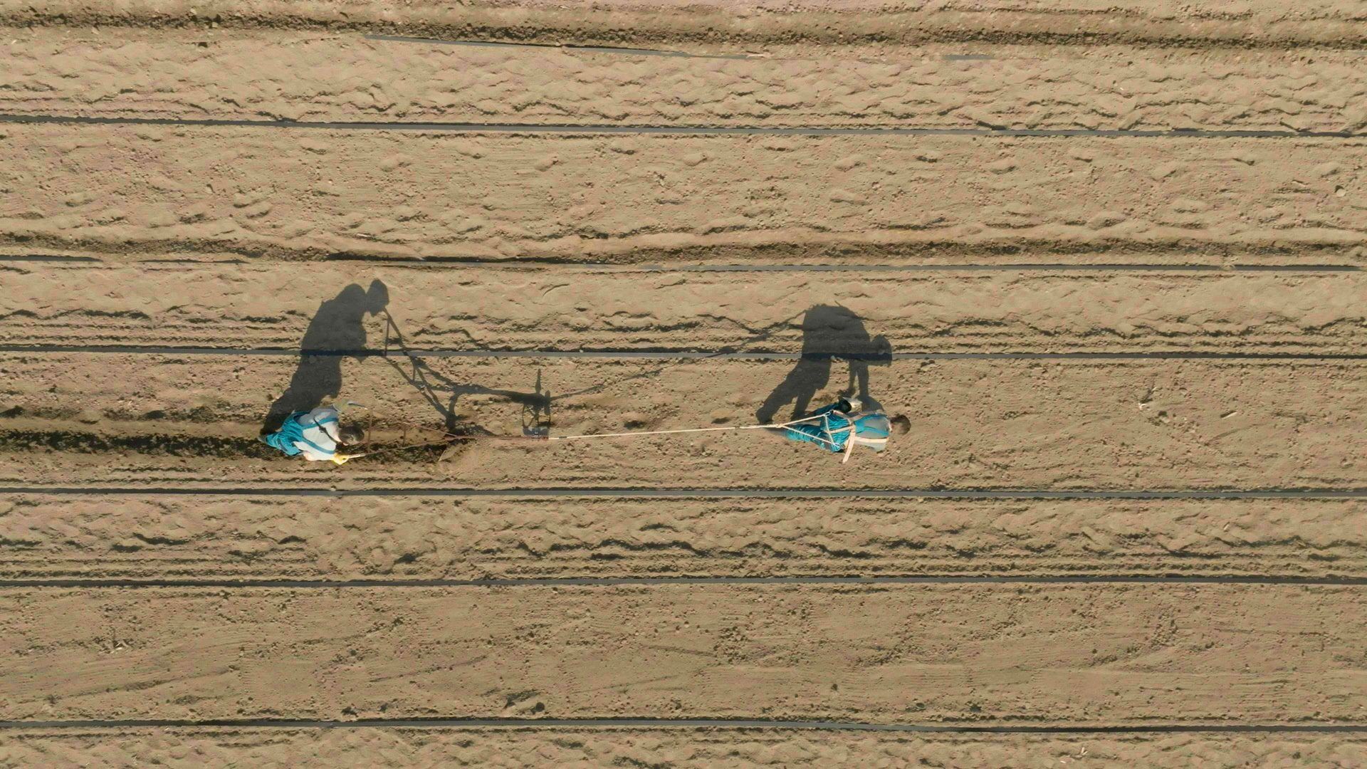 The Amazing Race background