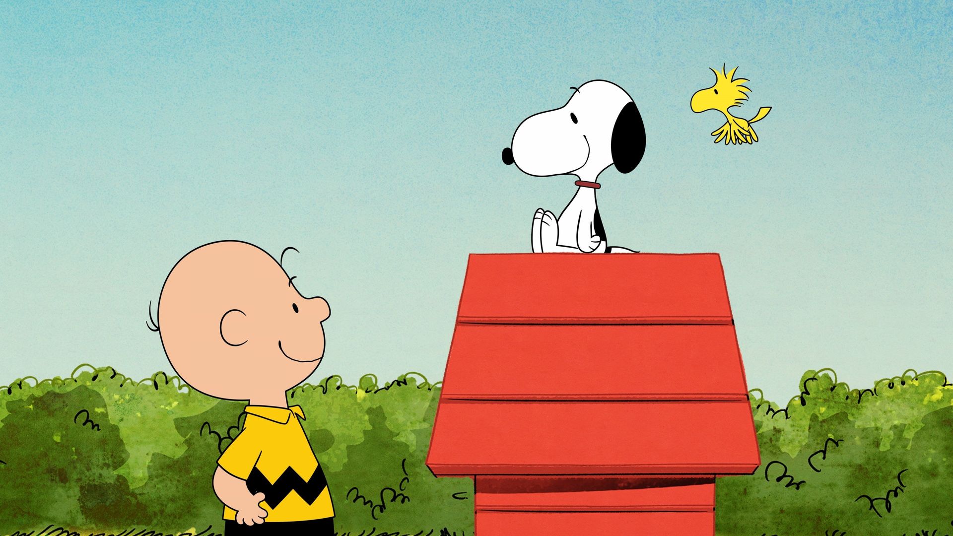 The Snoopy Show background