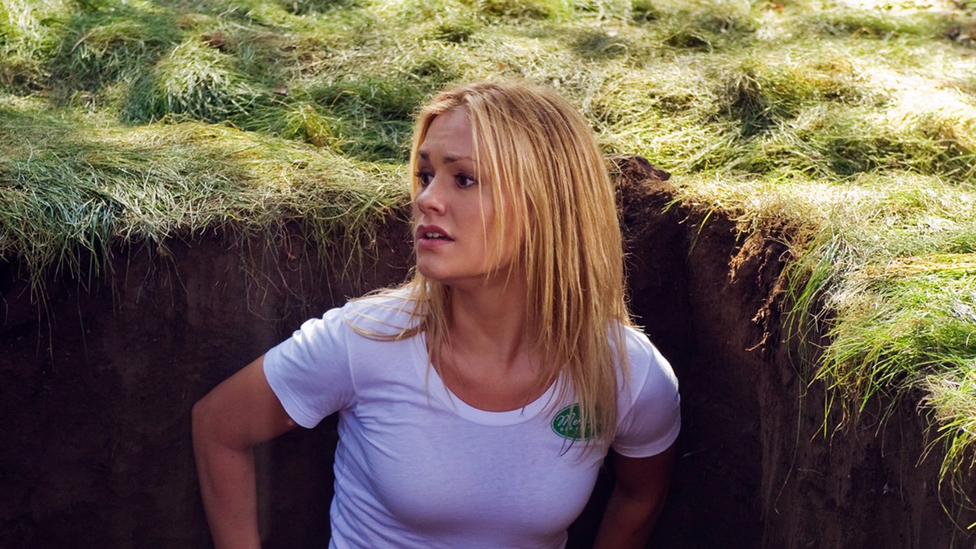 True Blood background