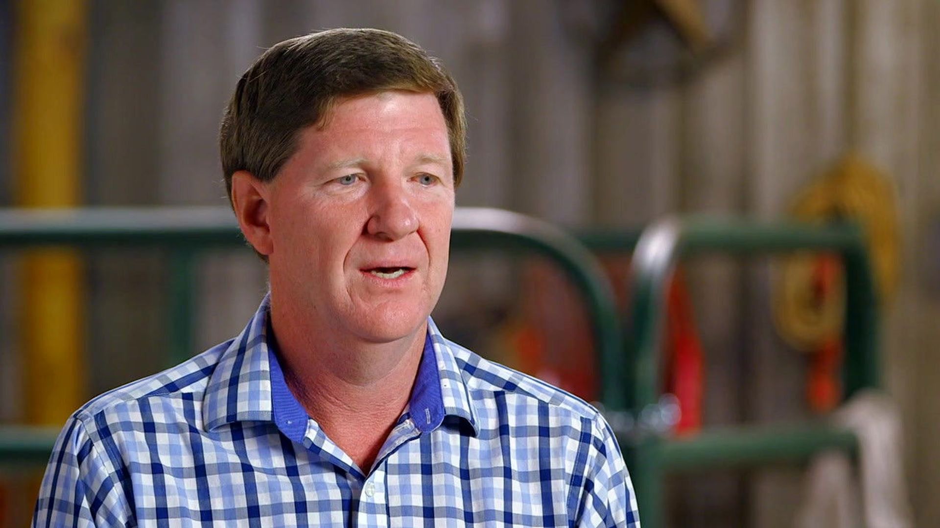 Pig Royalty background