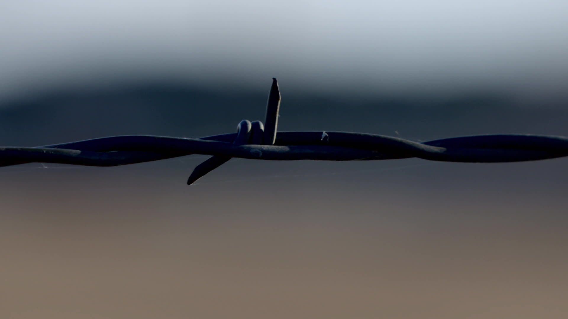 Women on Death Row background