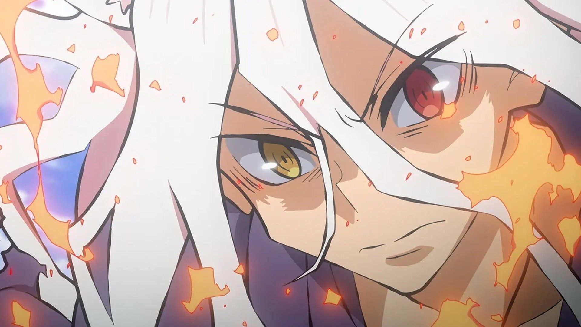 Sengoku Youko background