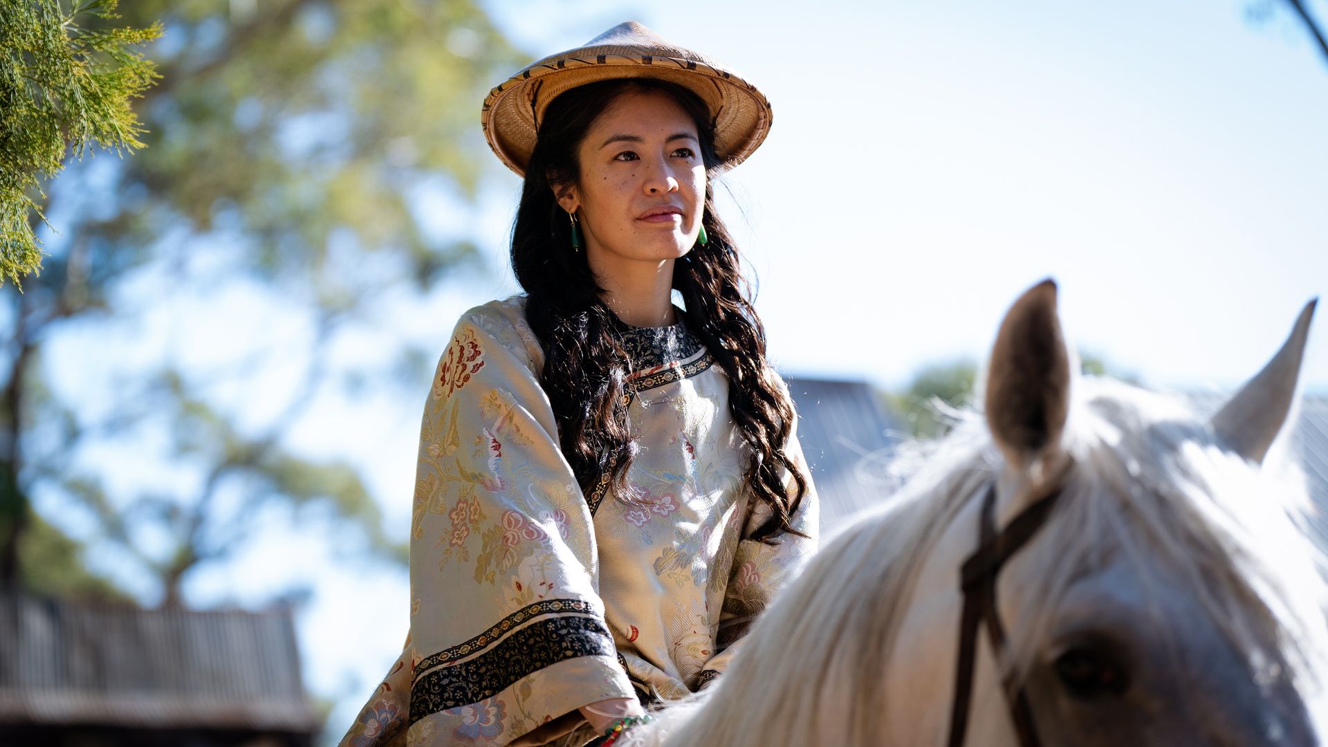 Gold Diggers background